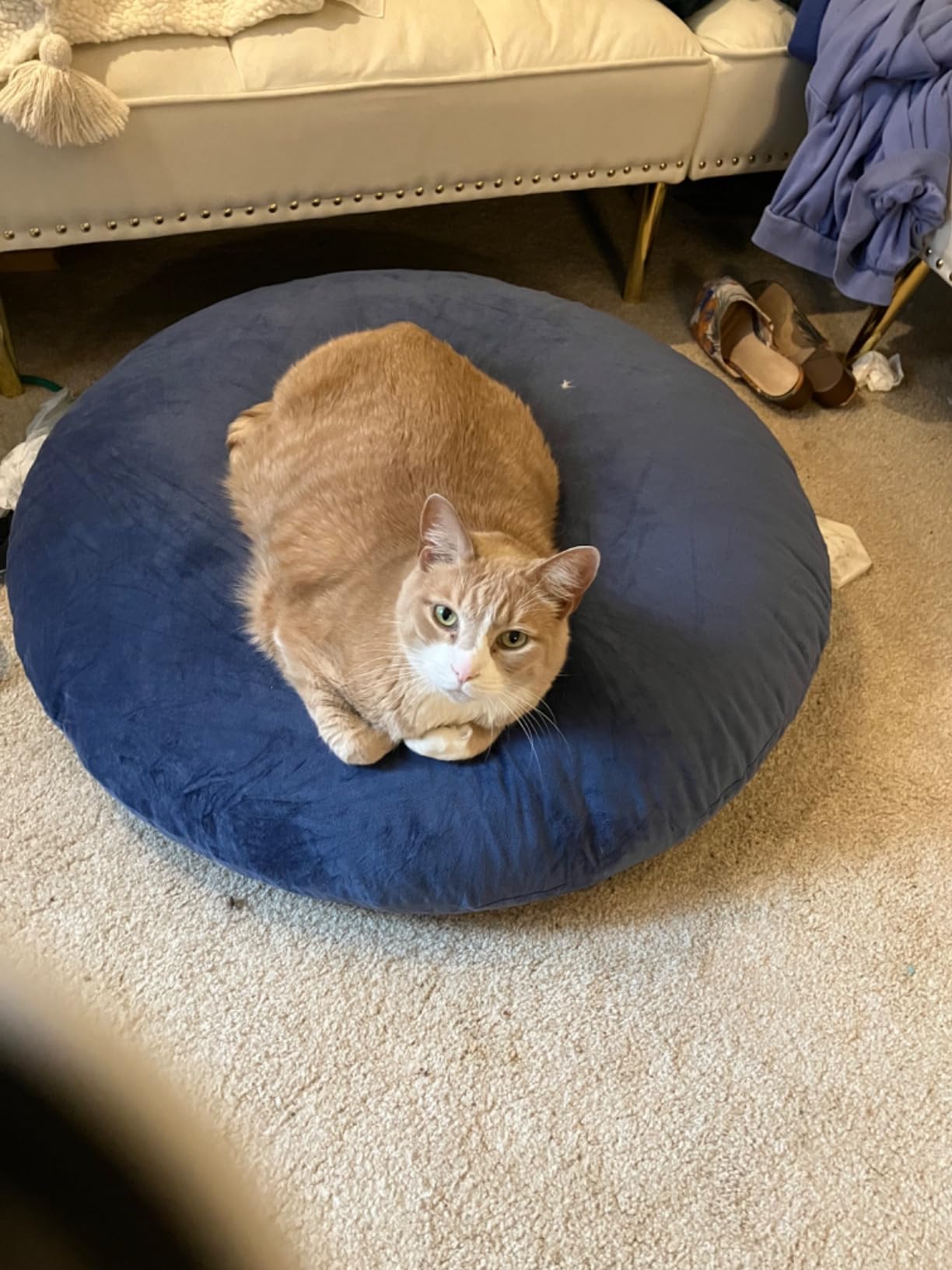 Cheer Collection Extra Large Floor Pillow, 32