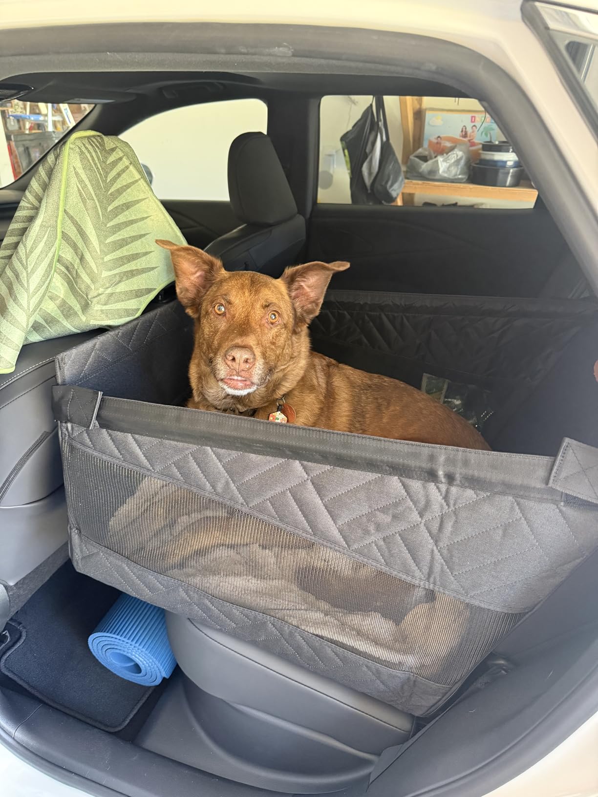 TKYZ Large Dog Car Seat,Back Seat Extender for Dogs,Hard Bottom Seat Cover customer photo 1