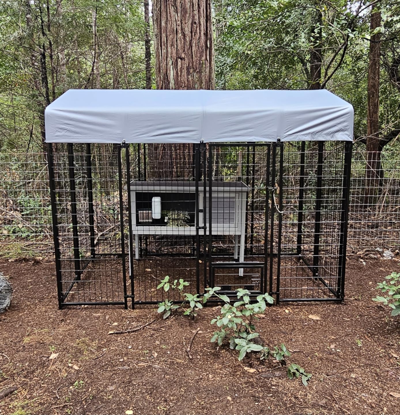 LEMBERI 8x4x6FT Outdoor Dog Kennel for Large Dogs, Heavy Duty | Escape-proof galvanized steel dog run with double-latch gate, reflective silver waterproof roof, 2 stainless steel bowls customer photo 2