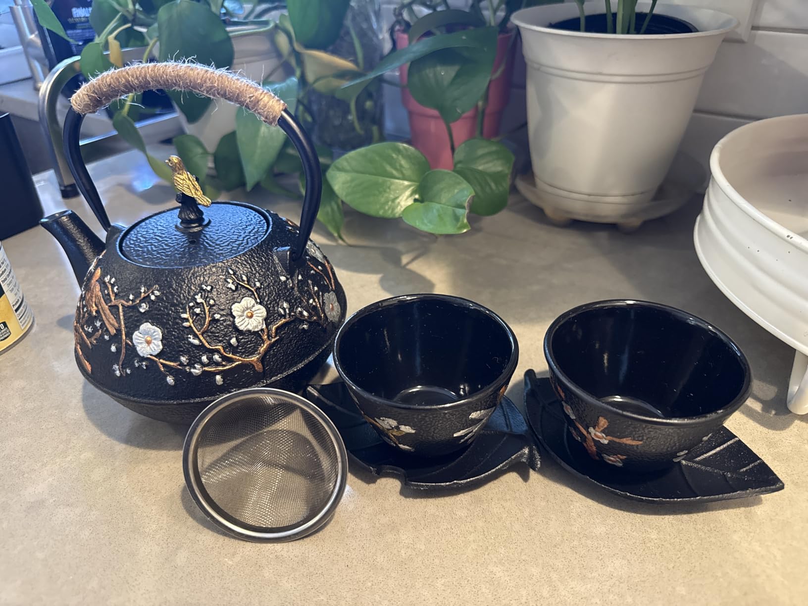 Dyna-Living Cast Iron Teapot with Warmer Japanese Tea Kettle 720ml/24.5oz Japanese Cast Iron Teapot Set with 2 Tea Cups Tea Pot with Infuser Tea Kettle for Wood Stove or Stovetop customer photo 1