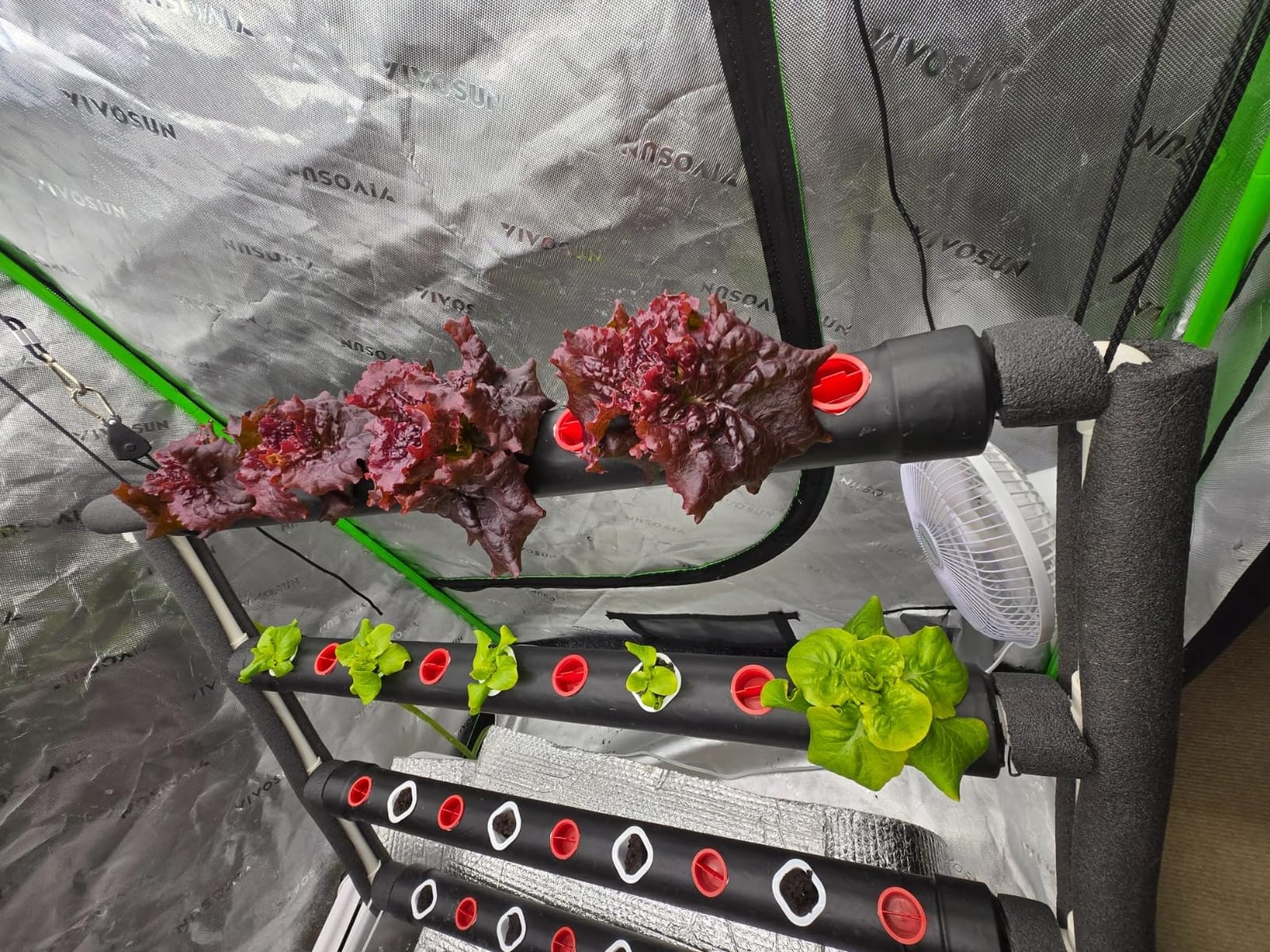 VIVOSUN Hydroponic Grow Kit, 54 Plant Sites 6 Food-Grade PVC-U Pipes Hydroponics Planting System with Water Pump, Pump Timer, Nest Basket and Sponge for Leafy Vegetable customer photo 2
