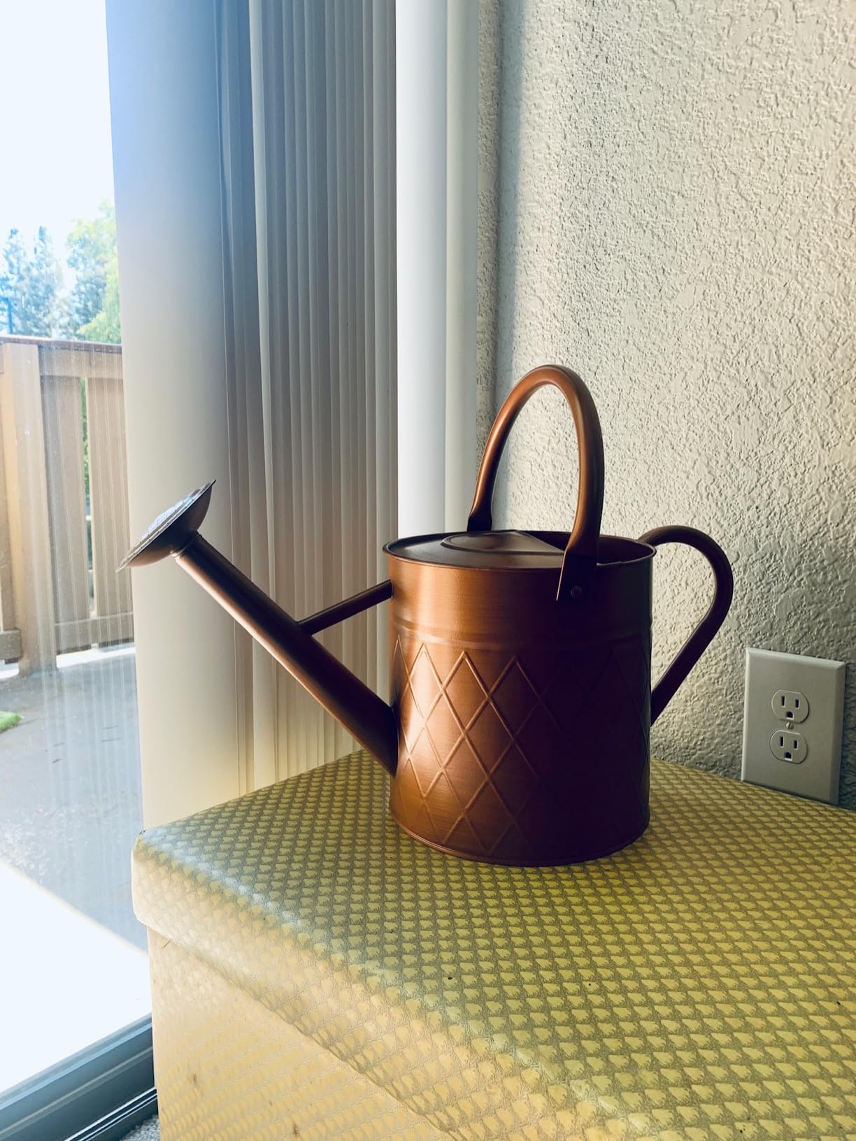 1.75 Gallon Outdoor Metal Watering Can for Garden Plants, Copper Color Watering Can with Removable Spray Spout, Ideal for Outdoor Use (Copper) customer photo 1