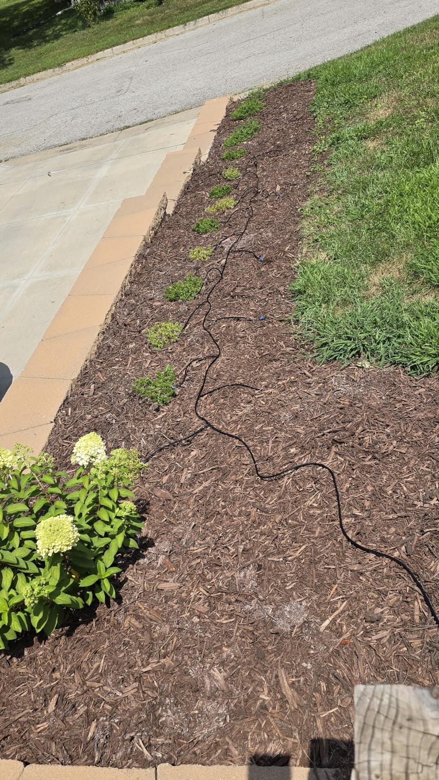 Solar Drip Irrigation System, Split Automatic Watering for Balcony | AntiSiphon Valve and 12 Modes Garden Faucet Controller with 49ft Hose, Intelligent Plant Hydration Device for 15 Potted Patio customer photo 2