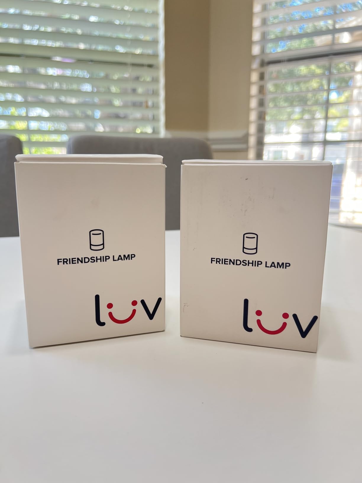 LuvLink Friendship Lamp v2.0 - Long Distance WiFi Touch Lamps for Couples, Friends & Family | Stay Connected from Anywhere - Easy App Setup - No Subscription (Single) customer photo 2