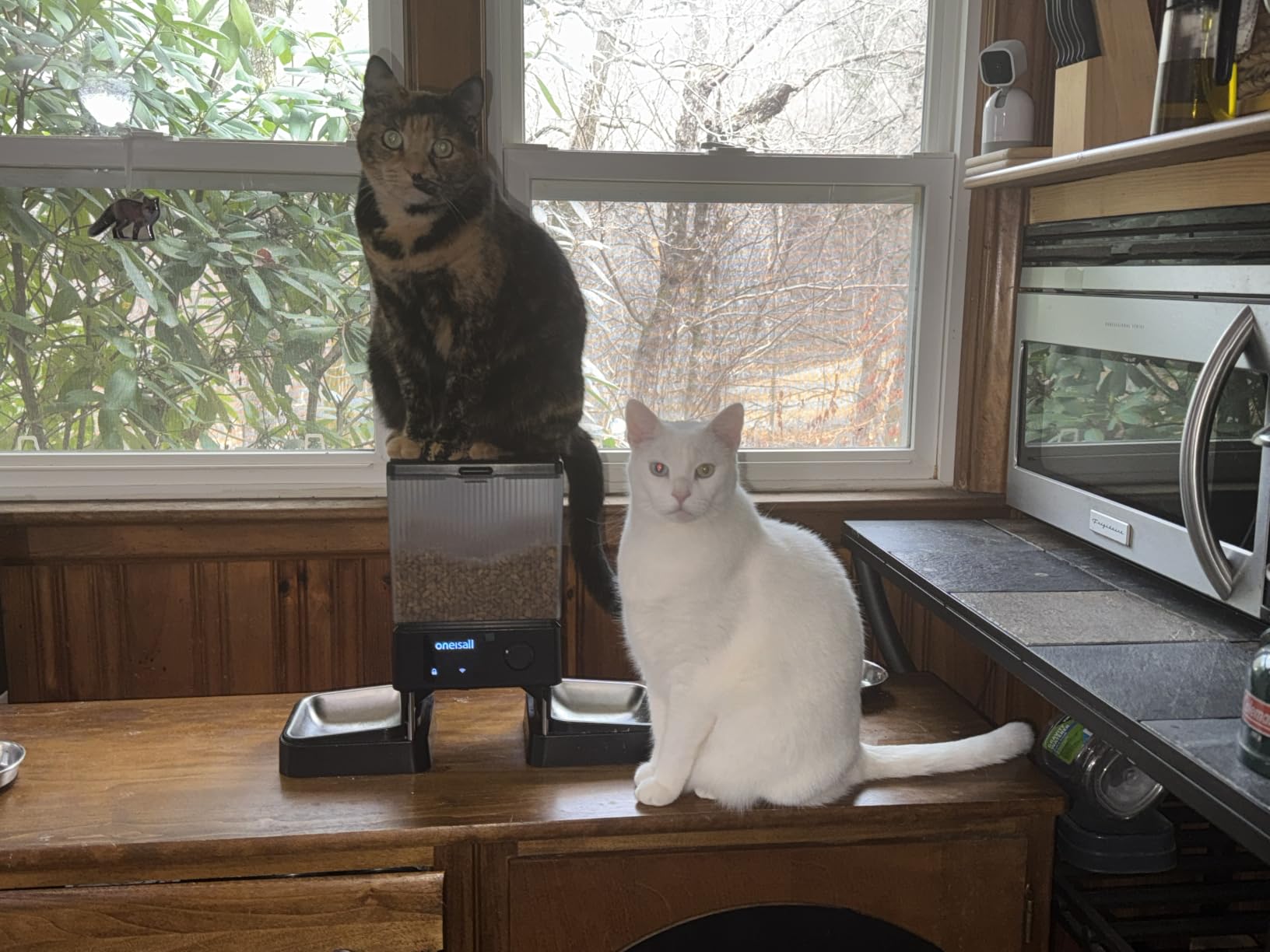 oneisall 5G WiFi Automatic Cat Feeder for 2 Cats, App Control, 20 Cups/5L customer photo 1