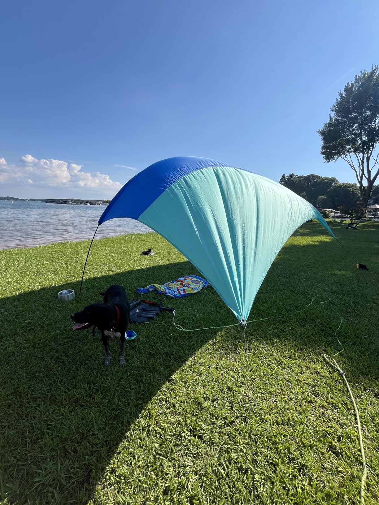 Shibumi Shade (Previous Generation) - World's Best Beach Shade. The Original Wind Powered Beach Shade. Lightweight, Easy to Set up and Great for Groups up to 8 People customer photo 1