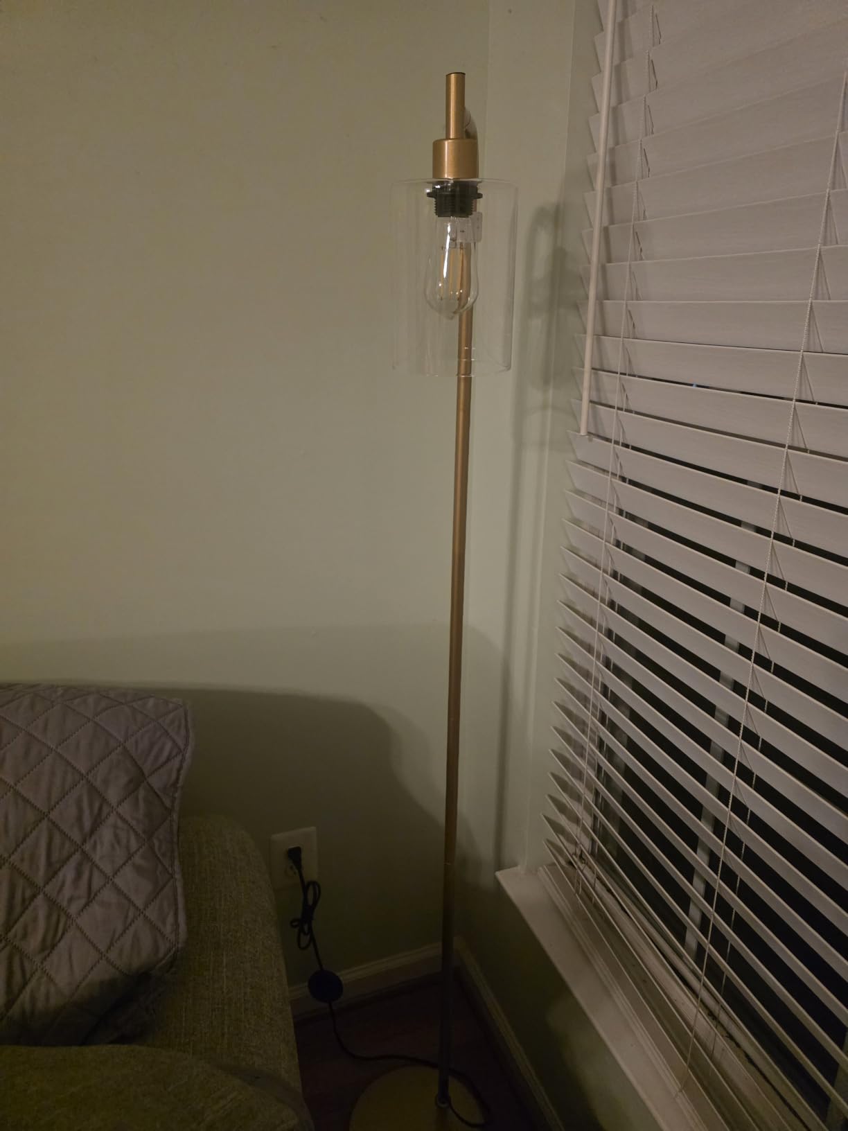 Ziisee Industrial Floor Lamp with Glass Shade - Black, LED Bulbs, Foot Pedal Switch, Easy Assembly customer photo 1