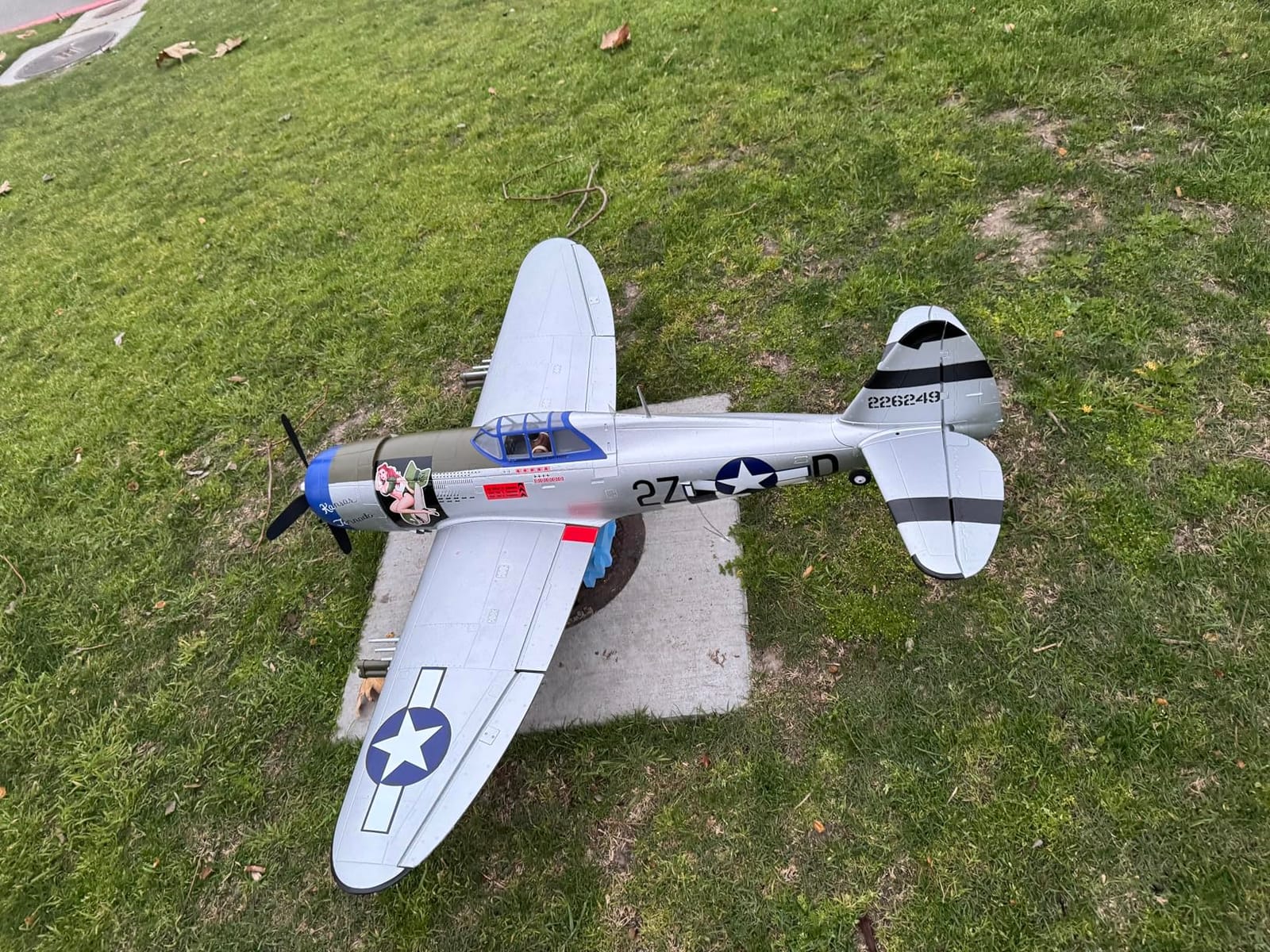 E-flite P-47 Razorback 1.2m BNF Basic (Transmitter, Battery and Charger Not Included) EFL08450 customer photo 1