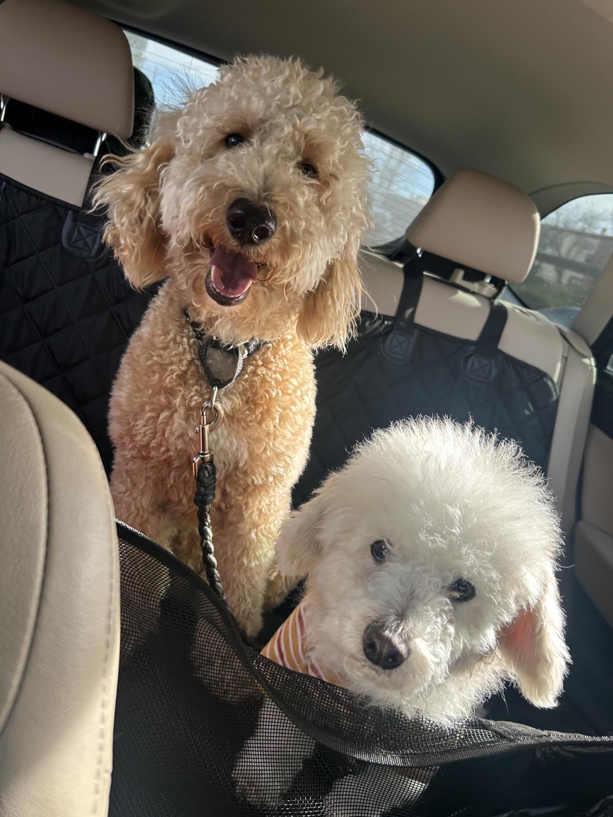 URPOWER Back Seat Extender for Dogs, Large Hard Bottom Dog Car Seat Cover customer photo 1