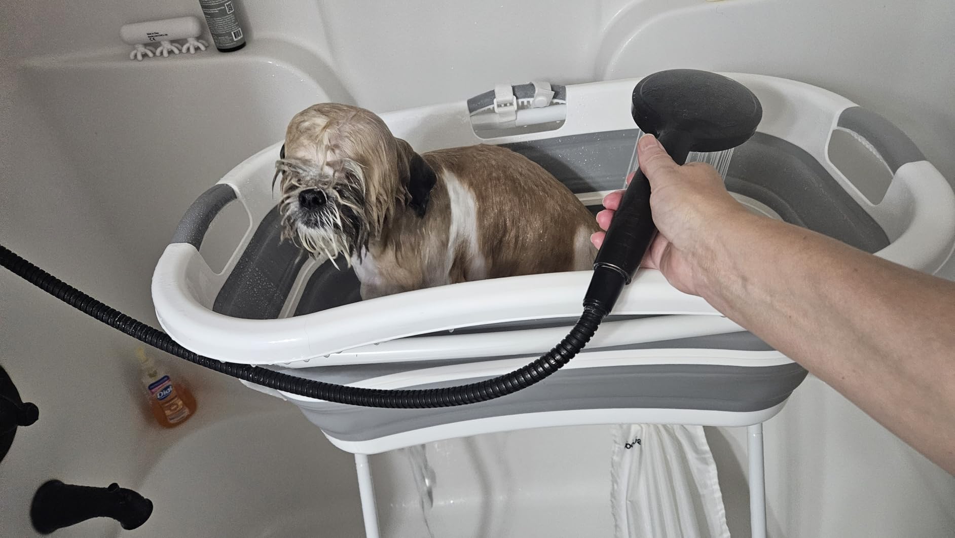 Beberoad 2 in 1 Dog Bath Tub Dog Washing Station for Bathing and Grooming, Elevated Collapsible Foldable Portable Shower Bathtub for Small Dogs Cats Pet, Indoor and Outdoor customer photo 2