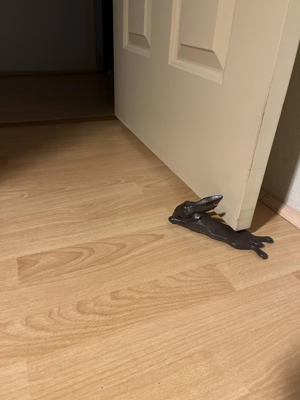 Sumnacon Cast Iron Door Stop - Heavy Duty Rustic Door Stopper Avoid Drilling Hole, Vintage Metal Door Wedge on Floor Surface for Home Office Commercial Industrial Dachshund customer photo 2
