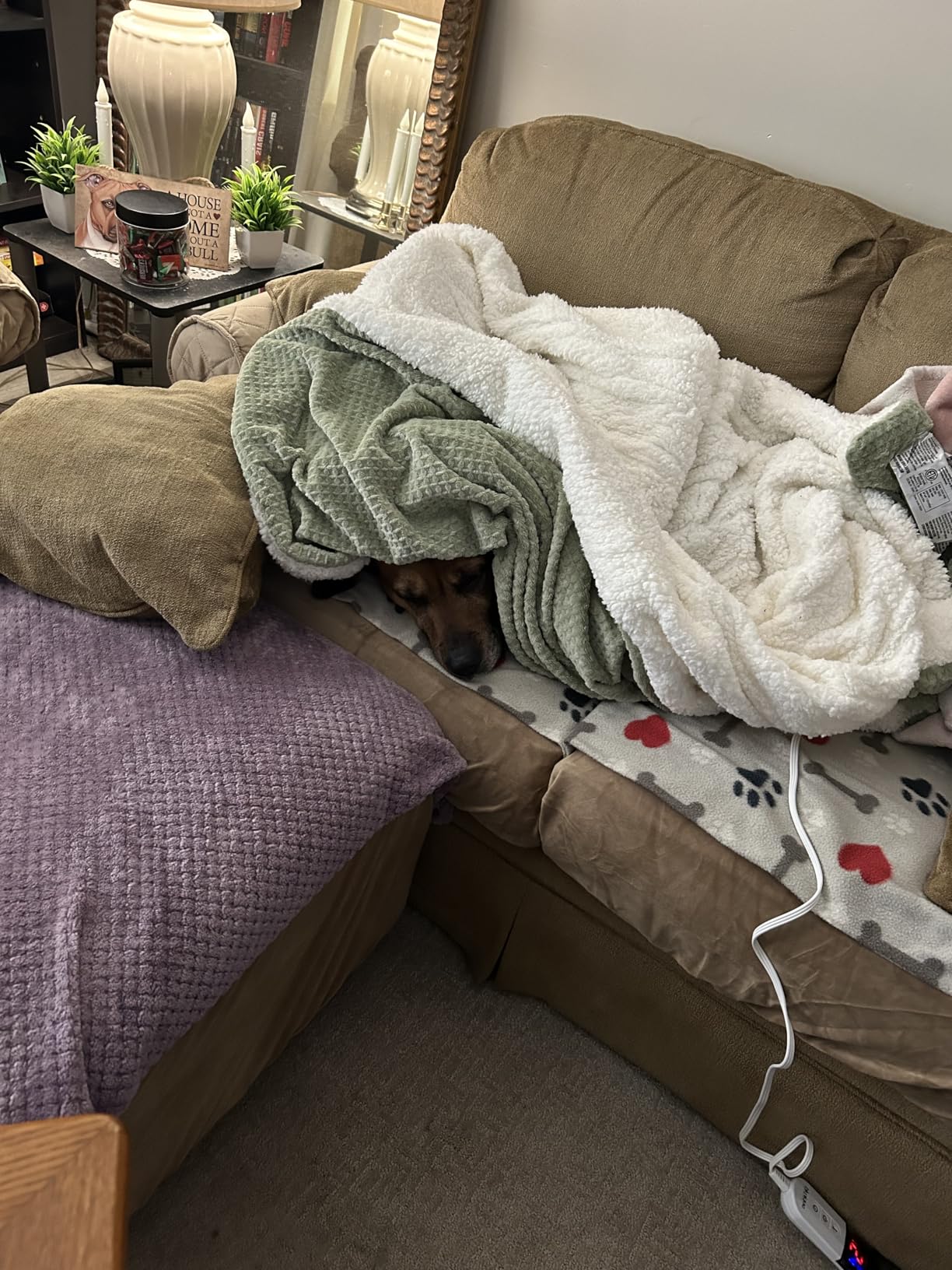 Heated Blanket Electric Throw Waffle, 50x60 Inches Sherpa Fleece Fast Heating Blanket 6 Heating Levels & 4 Hours Auto Off ETL Certification, Sage Throw customer photo 1