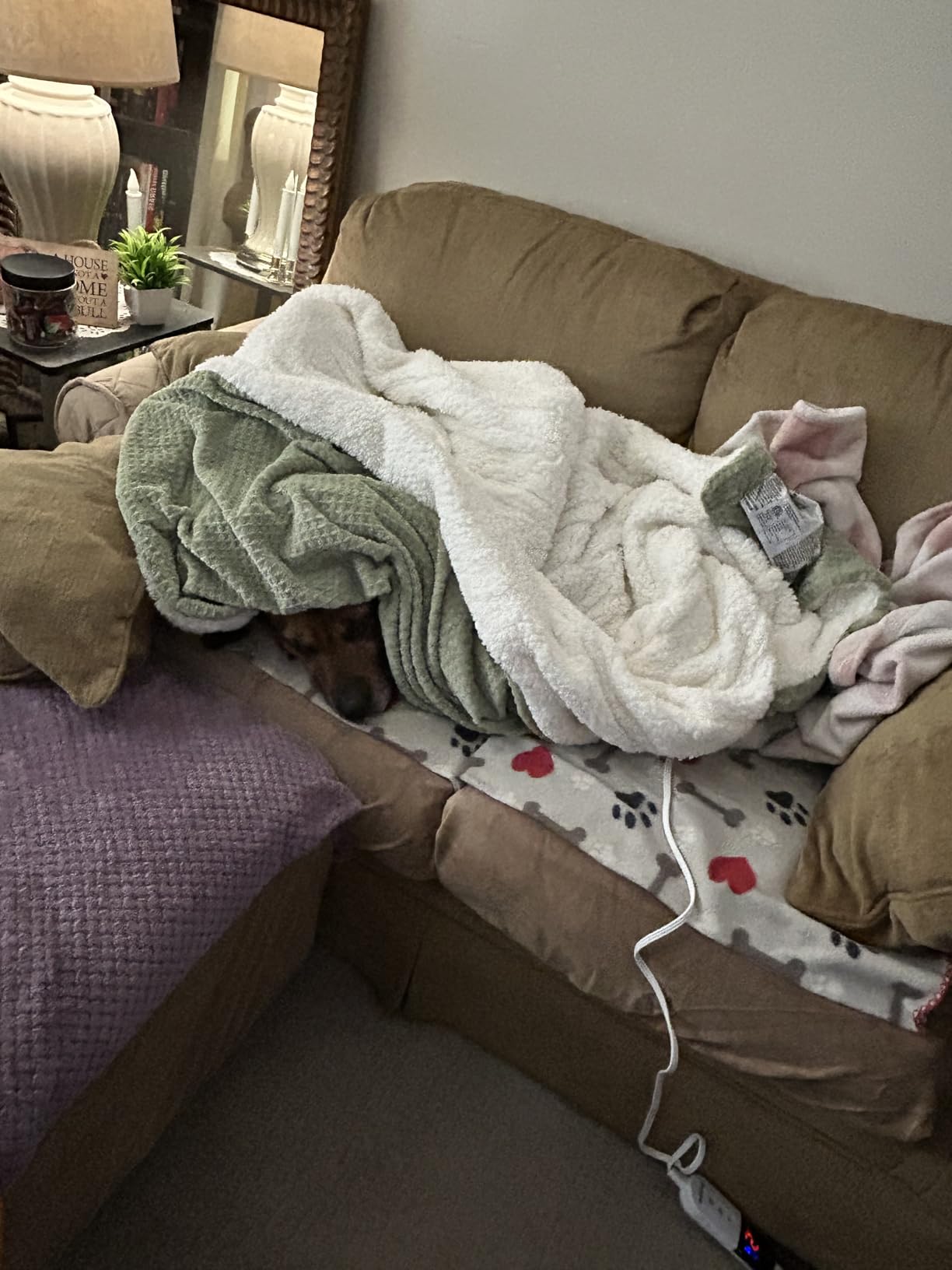 Heated Blanket Electric Blanket Queen Waffle, 84x90 Inches Dual Controllers Sherpa Fleece Fast Heating Blanket 6 Heating Levels & 10 Hours Auto Off ETL Certification, Sage Queen customer photo 2