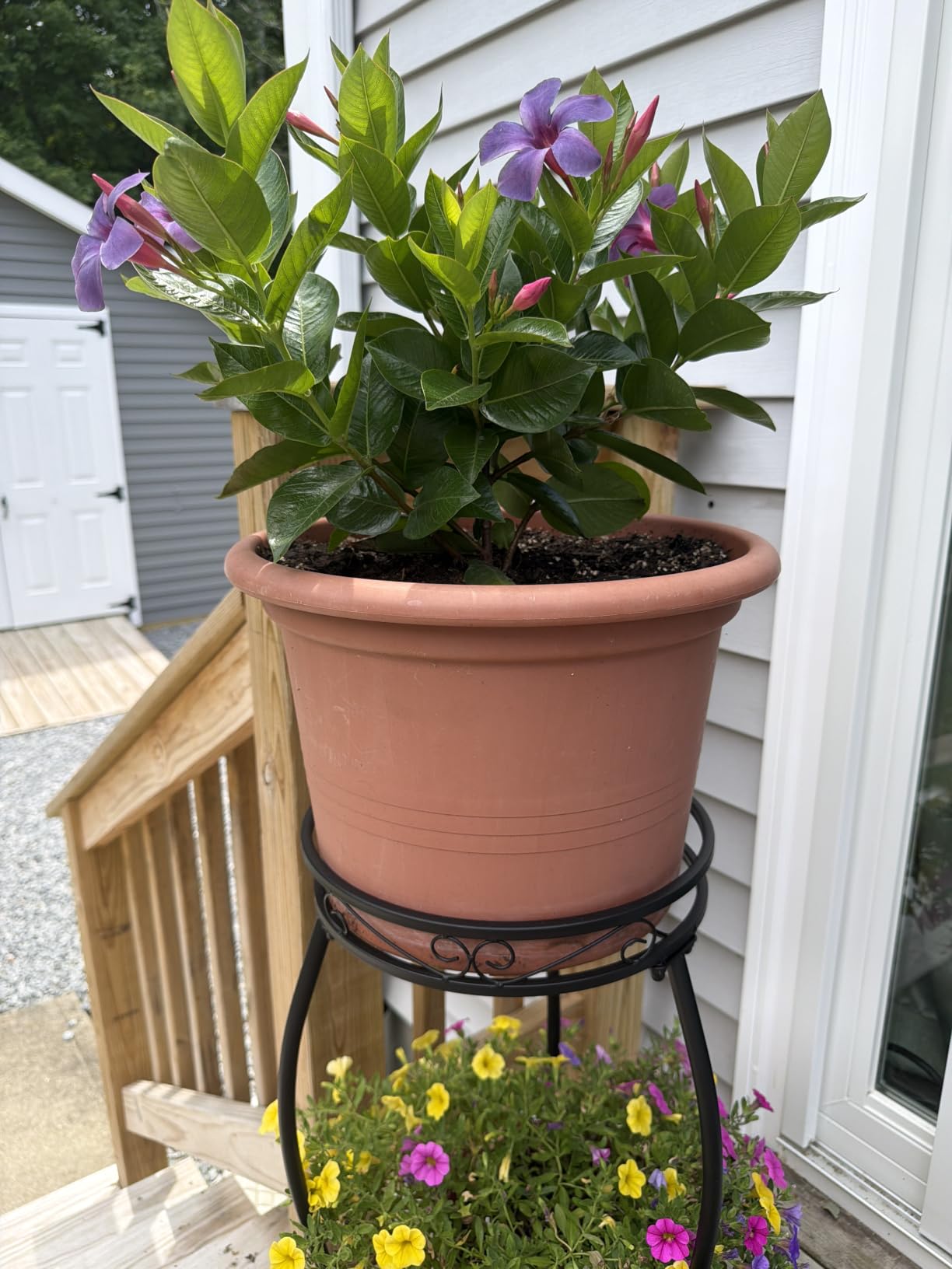 LOYAL TIGER Plant Stand Indoor Outdoor, 2 Tier 27 Inch Tall Metal | Heavy Duty Plant Rack, Rustproof Metal, Stable 3-Leg Base, Holds up to 100 lb, Flower Pot Holder customer photo 1