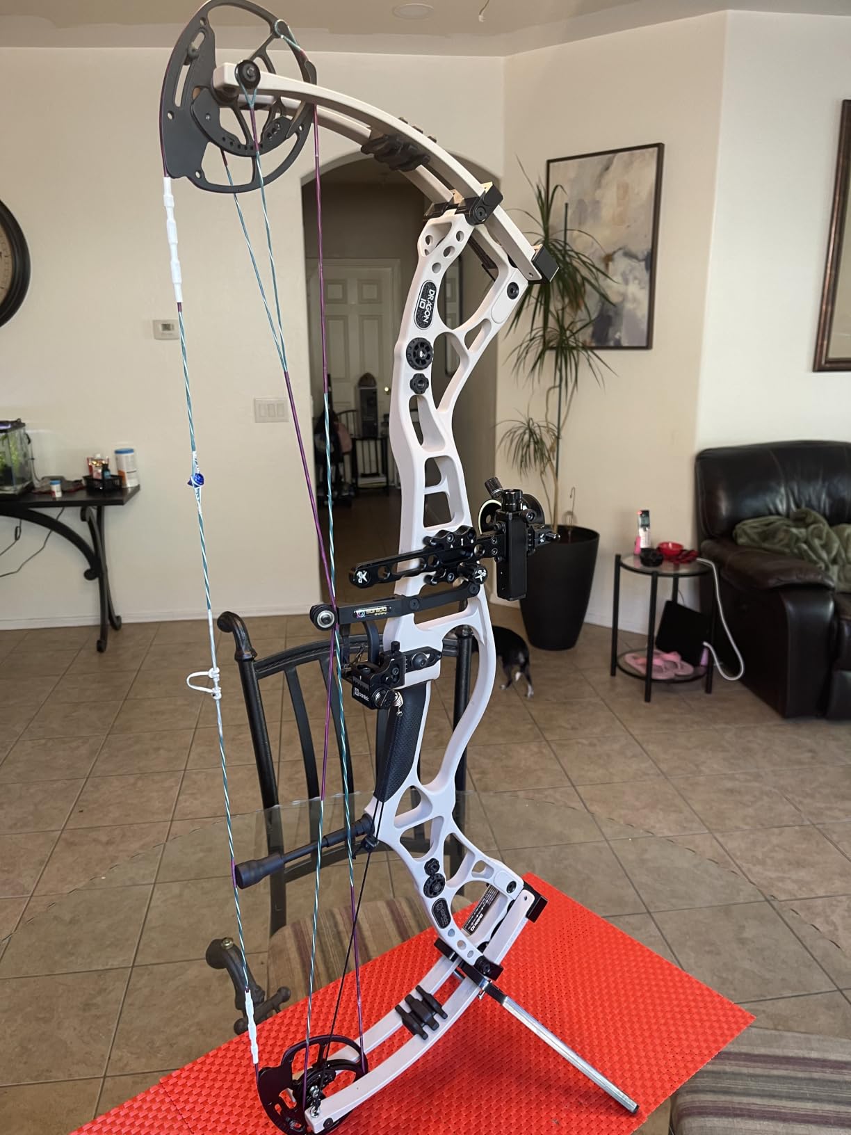 Sanlida Dragon 10 Flagship Top of The Line Hunting Compound Bow Kit for Adults, Standard Hunting Bow for Adults and Advanced Archers, IBO Speed 340 FPS, Limited Life-time Warranty, RH Only customer photo 1