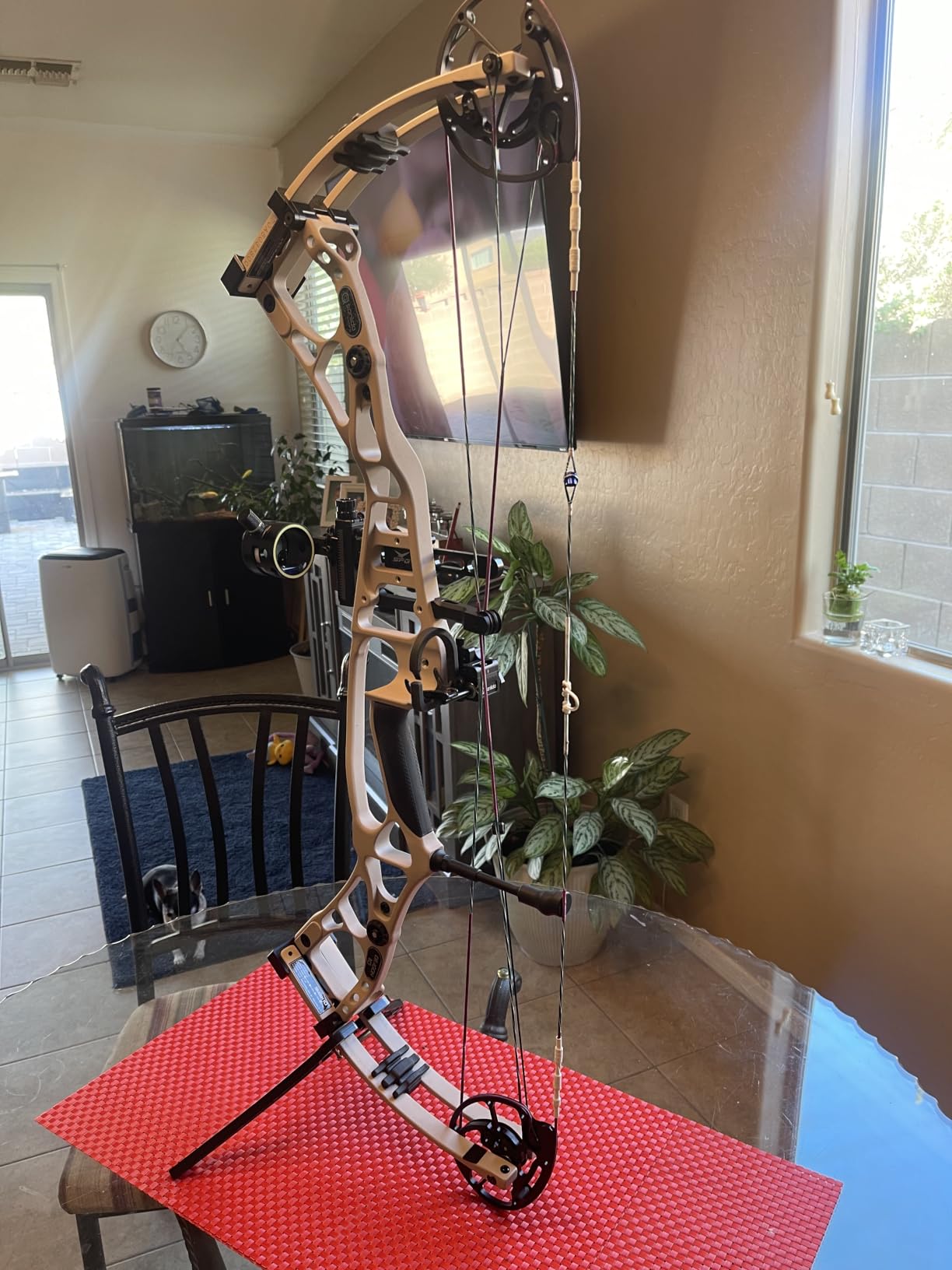 Sanlida Dragon 10 Flagship Top of The Line Hunting Compound Bow Kit for Adults, Standard Hunting Bow for Adults and Advanced Archers, IBO Speed 340 FPS, Limited Life-time Warranty, RH Only customer photo 2