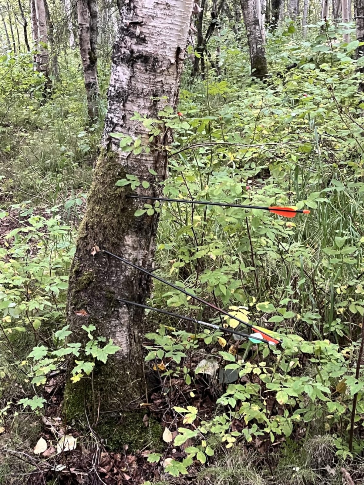 Sanlida Dragon X9 Ready to Hunt Compound Bow Kit for Adults, Archery Hunting Bow Package with 12 Carbon Arrows, Adjustable up to 70 lbs, No Bow Press Needed, Right Hand Only customer photo 2