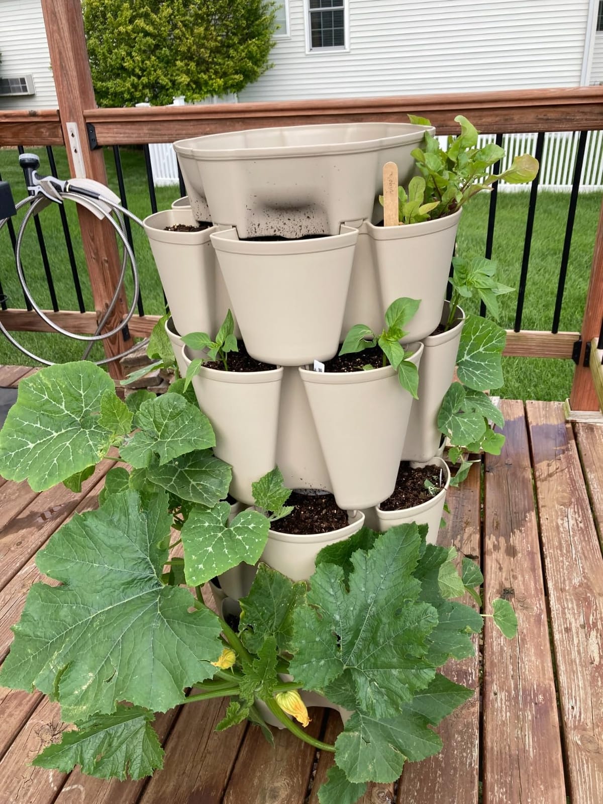 Greenstalk Patented Large 5 Tier Vertical Garden Planter with Patented Internal Watering System Great for Growing a Variety of Strawberries, Vegetables, Herbs, & Flowers (Evergreen) customer photo 1