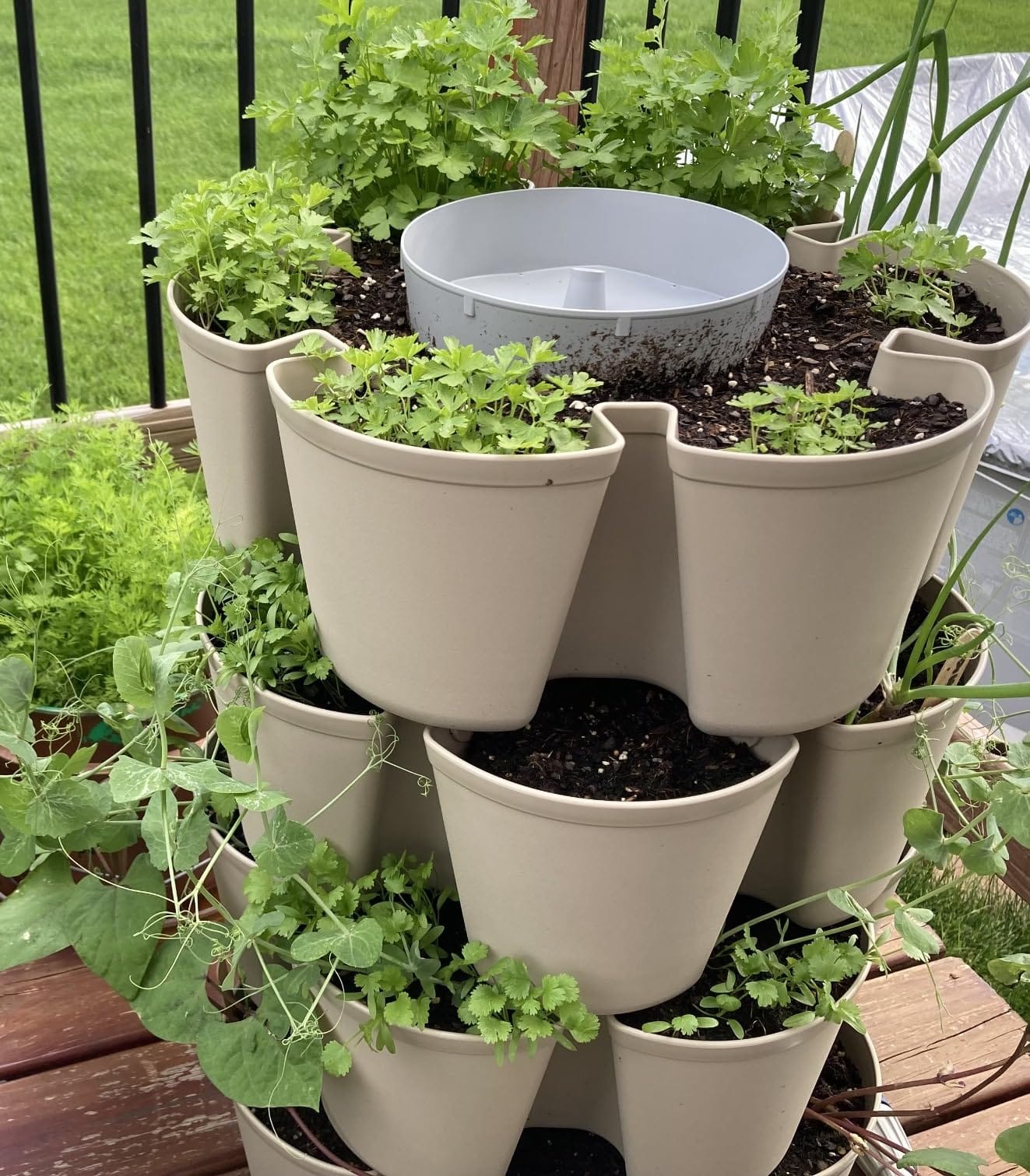 Greenstalk Patented Large 5 Tier Vertical Garden Planter with Patented Internal Watering System Great for Growing a Variety of Strawberries, Vegetables, Herbs, & Flowers (Evergreen) customer photo 2