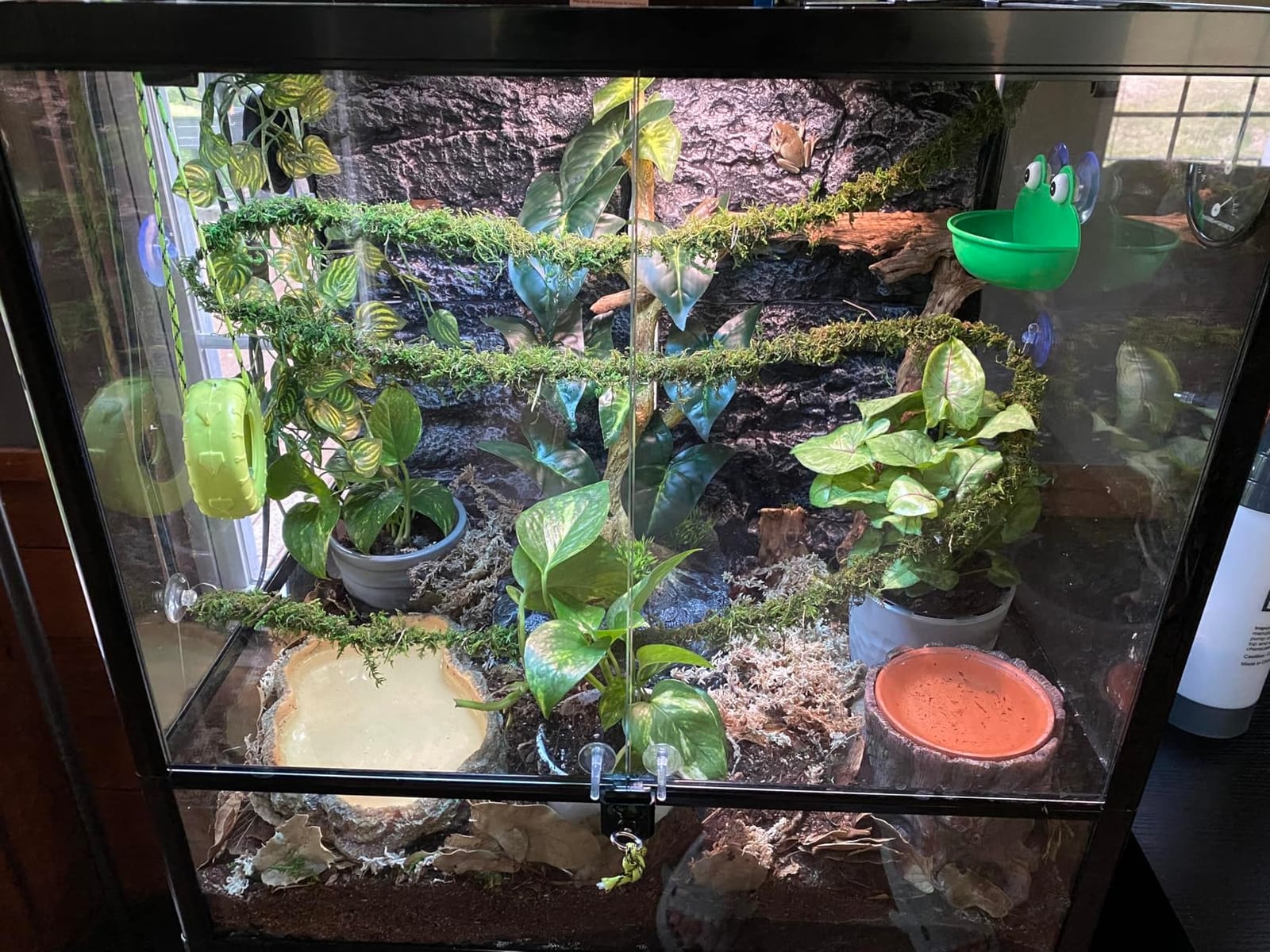 17.7x11.8in Rock Terrarium Background, 3D Reptile Tank Background Board, Amphibian Stereo Backdrop Wall (Grey) customer photo 2