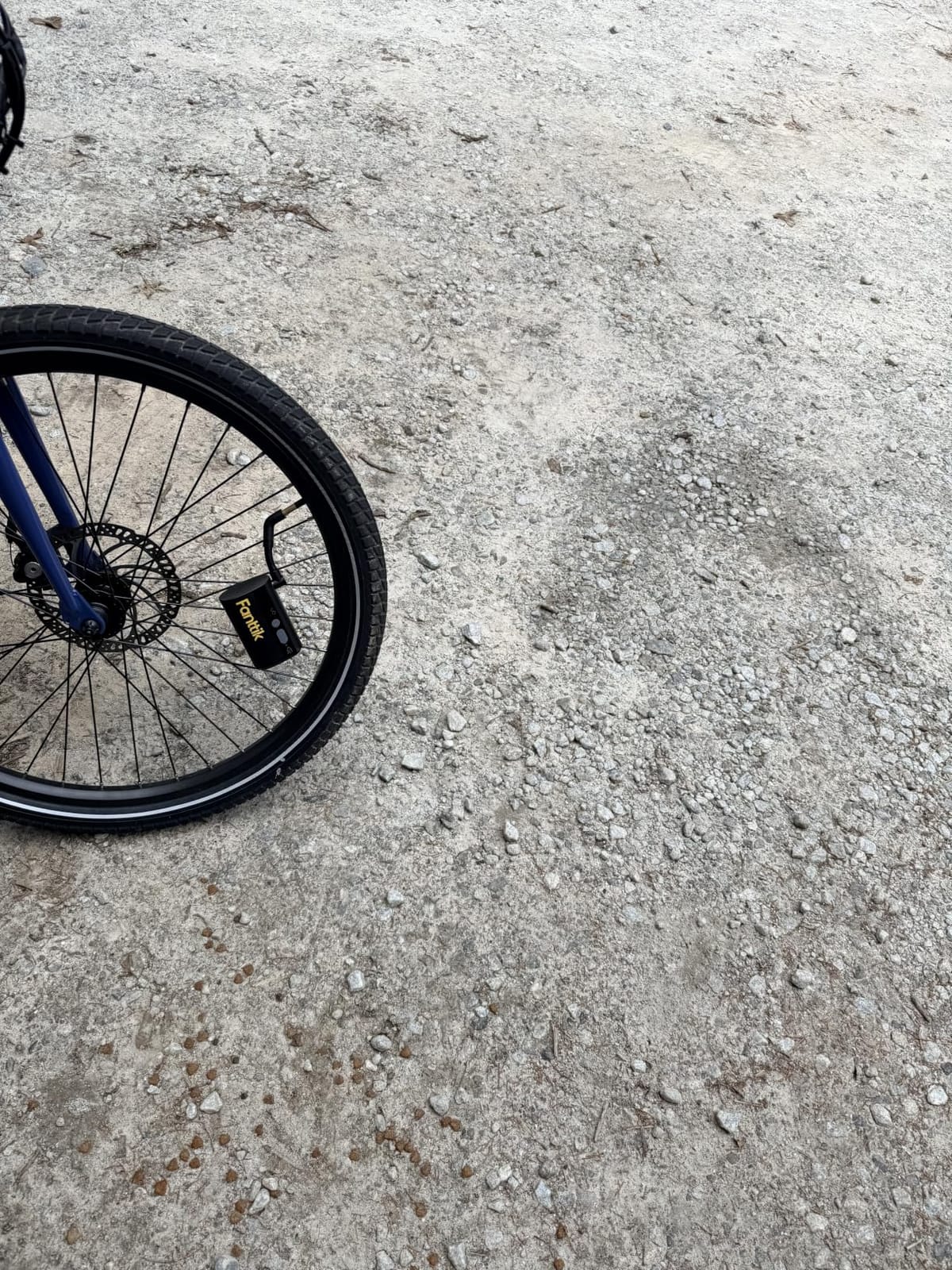 Fanttik X9 Ace Mini Electric Bike Pump, 150PSI, 32s Inflate, Auto Stop customer photo 2