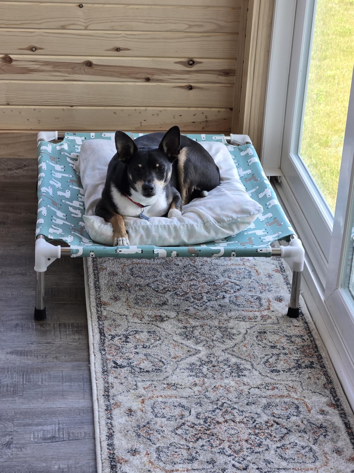 Elevated Dog Bed Pet Cot for Large Dogs | Alpaca Print, Indoor and Outdoor, Breathable Fabric, Stainless Steel Frame, Anti-Slip Feet customer photo 2