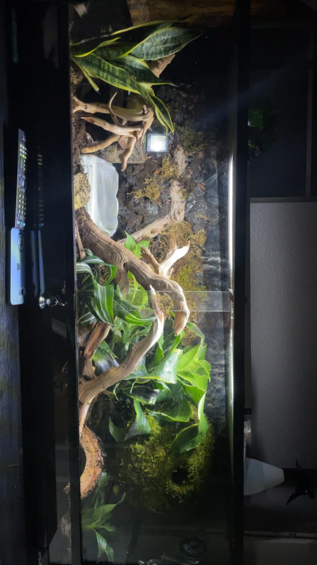 Extra Large Resin Reptile Hideouts Cave Habitat Decor customer photo 1