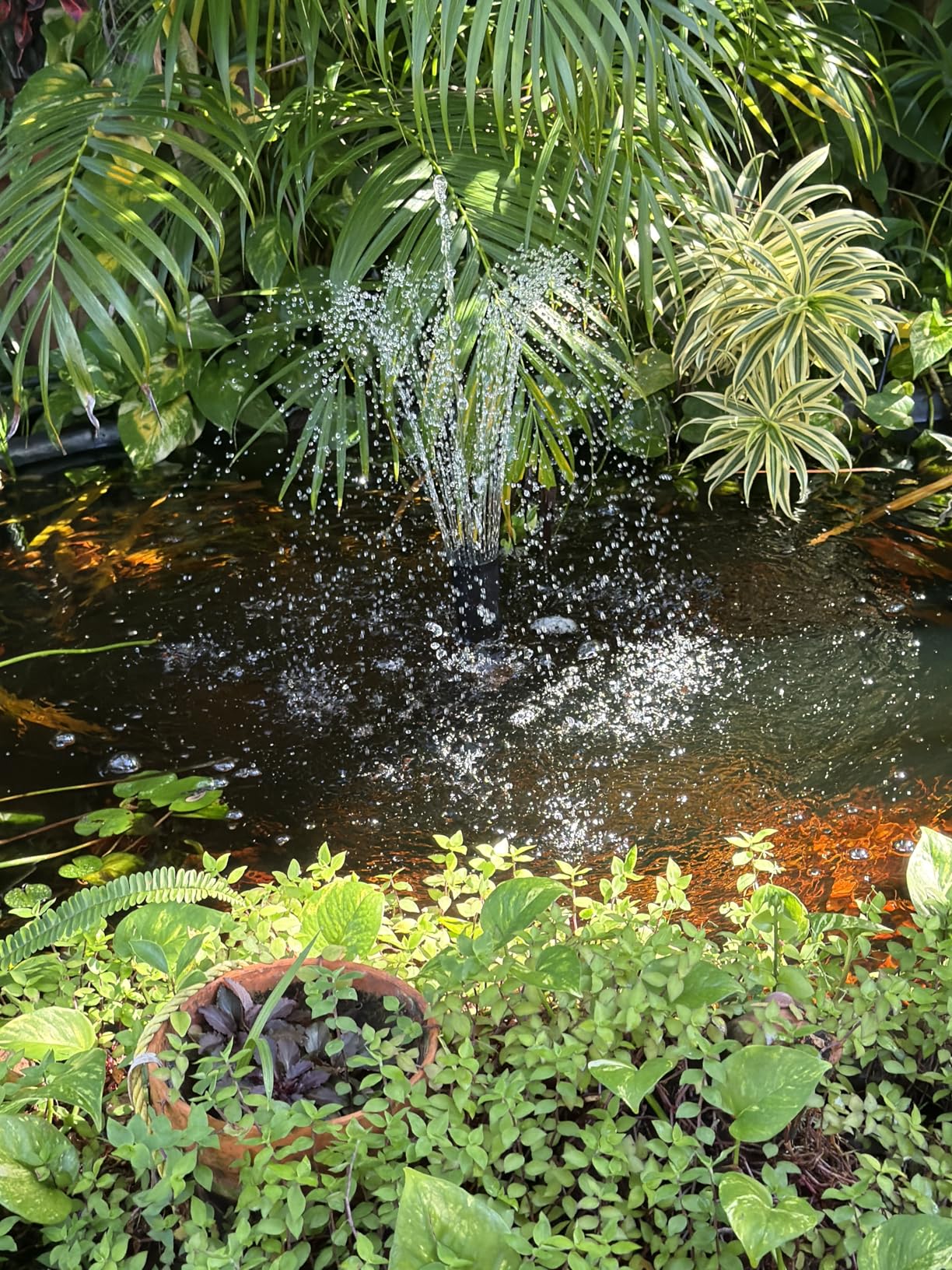 VIVOHOME All-in-One Pond Filter Fountain System Kits, 790 GPH Submersible Water Pump for Ponds up to 1320 Gallons customer photo 1