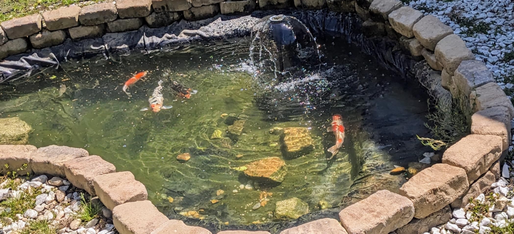 VIVOHOME All-in-One Pond Filter Fountain Kits, 790GPH Pond Pump for Pond | Multi-Stage Filtration, 33ft Power Cord, 13W Light, Outdoor Water Features, Ponds Up to 1320gallons customer photo 2