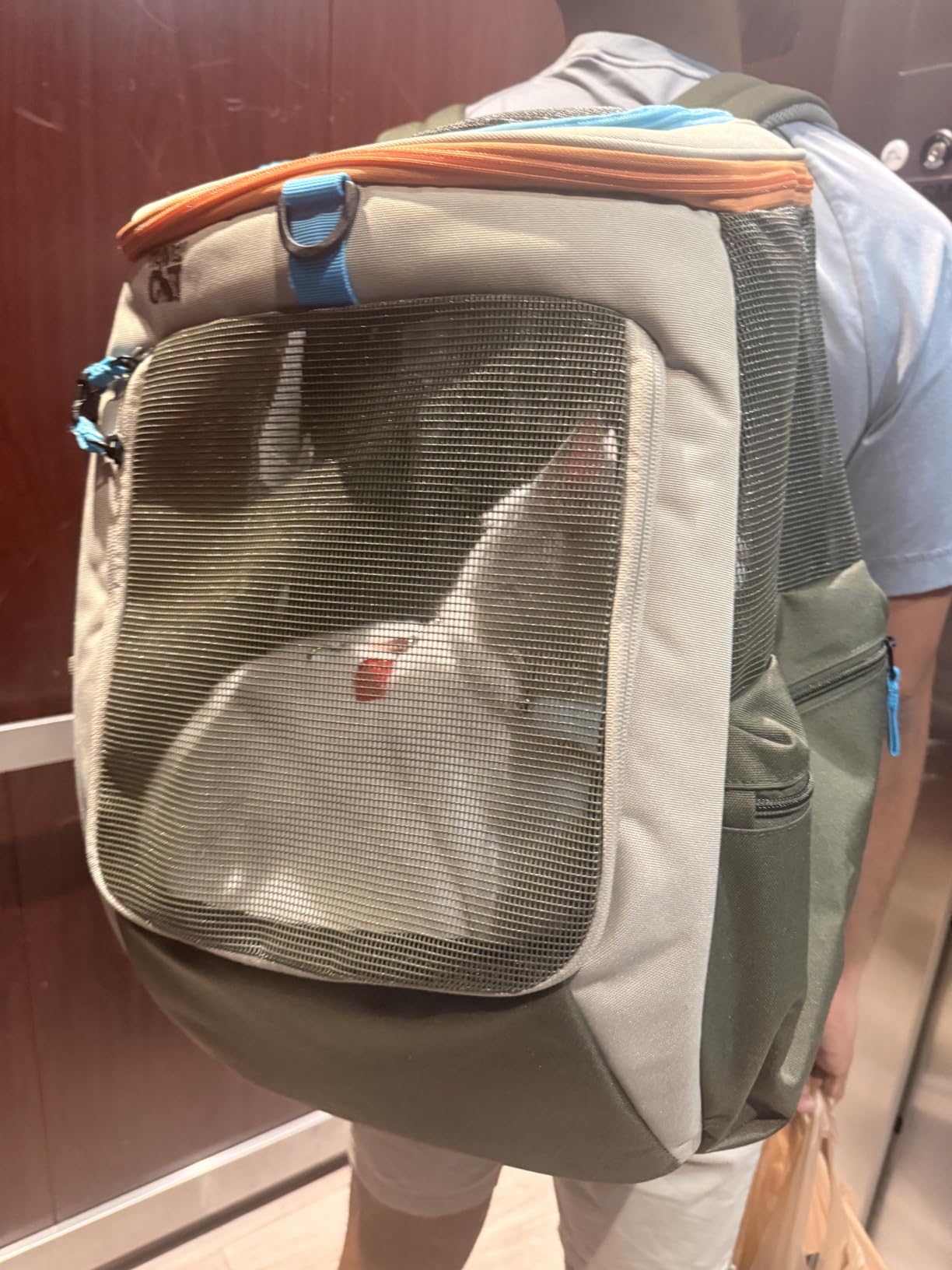Travel Cat Backpack Carrier - The Navigator Convertible Pet Carrier Backpack - Cat Carrier Backpack with Fully Ventilated Mesh (Earth) customer photo 2