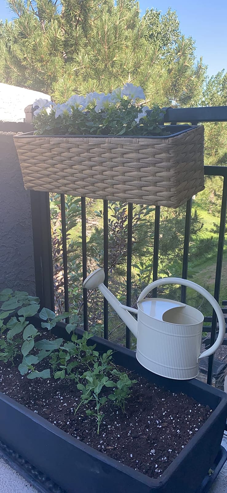1 Gallon Copper Metal Watering Can, Removable Spout | Vintage Plant Water Can for Indoor, Outdoor, Garden, and Patio Use customer photo 1
