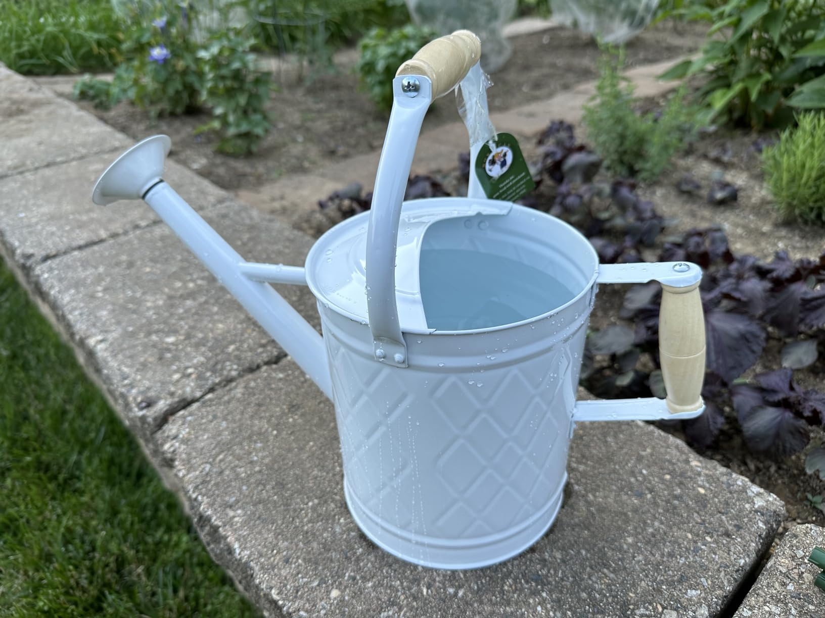 1 Gallon Copper Metal Watering Can, Removable Spout | Vintage Plant Water Can for Indoor, Outdoor, Garden, and Patio Use customer photo 2