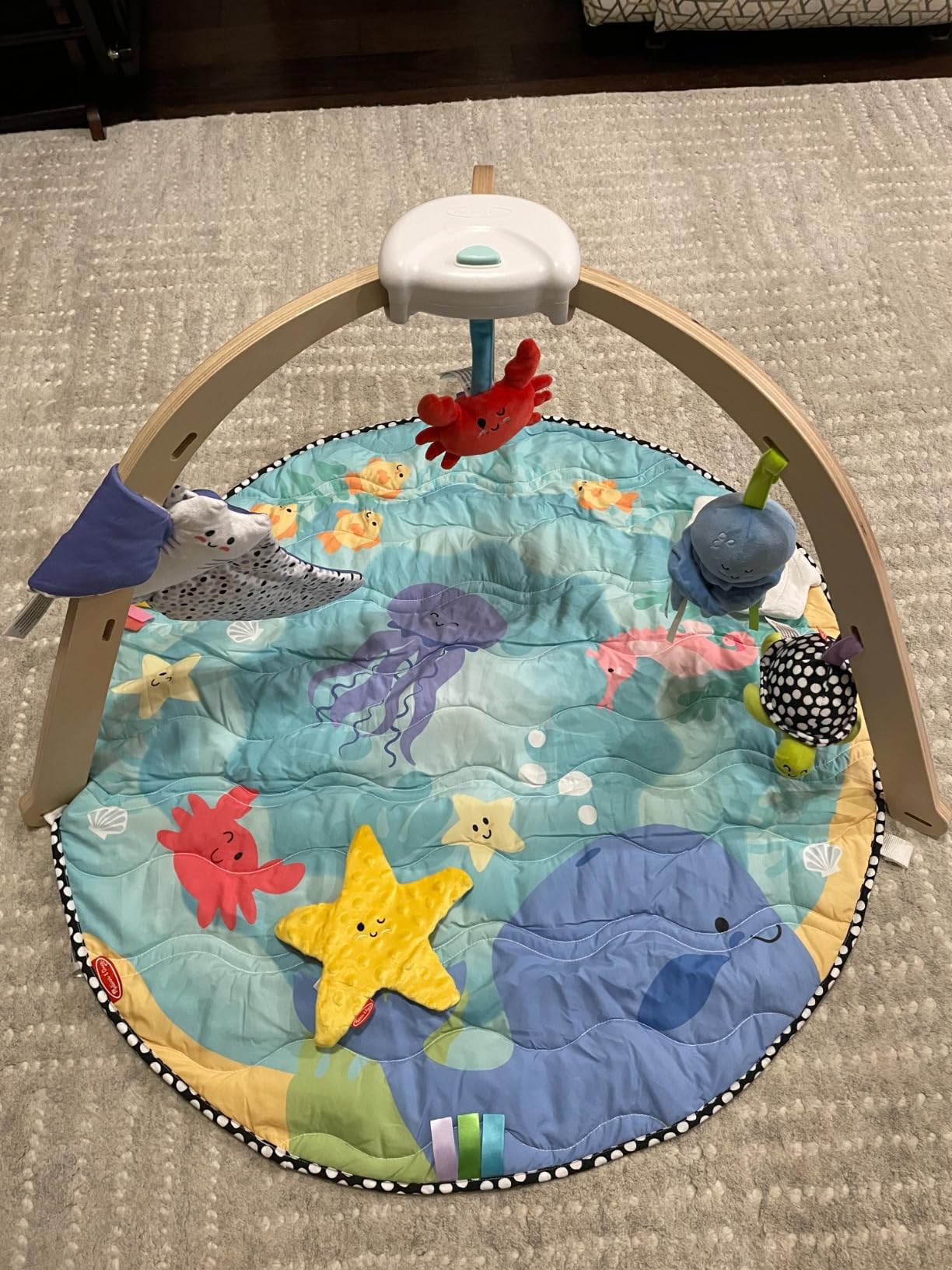 Melissa & Doug Ocean Wooden Baby Play Gym, Easy-Fold Baby Activity Center, 5 Washable Sensory Toys & Reversible Play Mat, Infant Toys, Ages 0-9 Months - FSC Certified customer photo 1