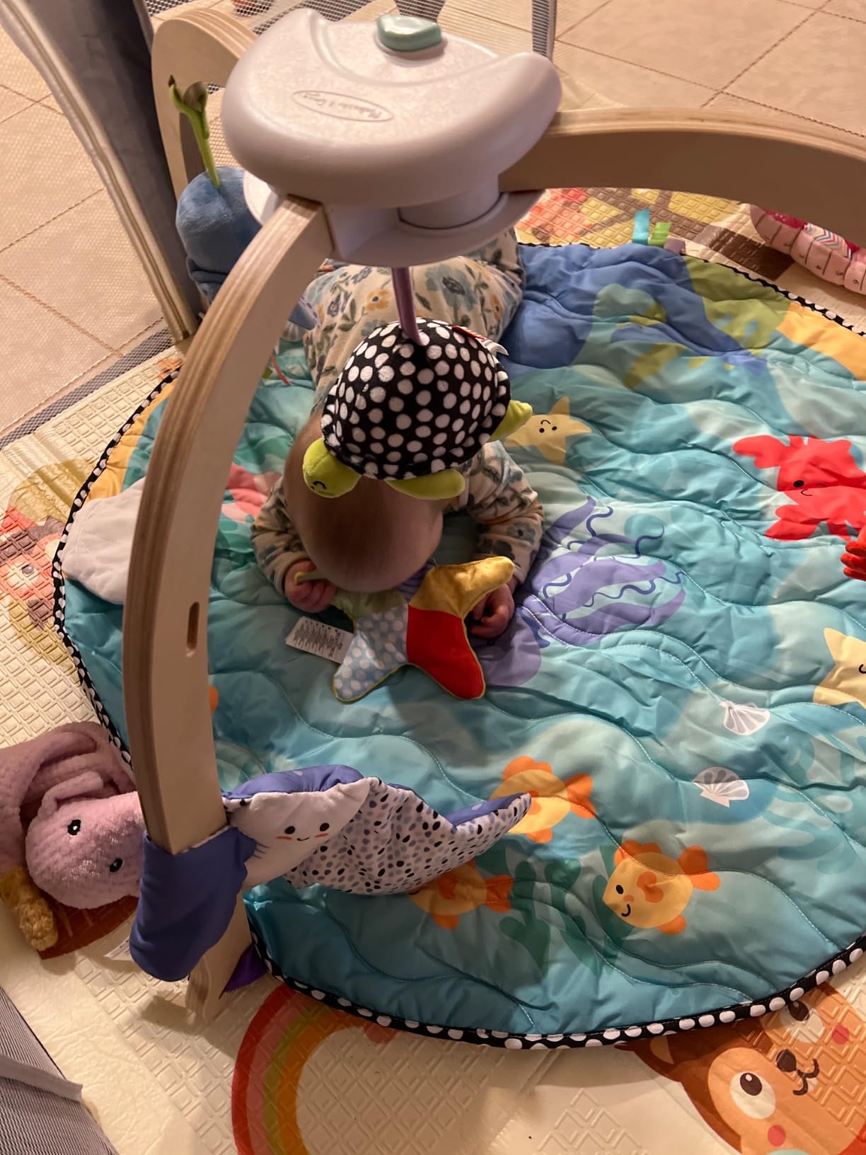 Melissa & Doug Ocean Wooden Baby Play Gym, Easy-Fold Baby Activity Center, 5 Washable Sensory Toys & Reversible Play Mat, Infant Toys, Ages 0-9 Months - FSC Certified customer photo 2