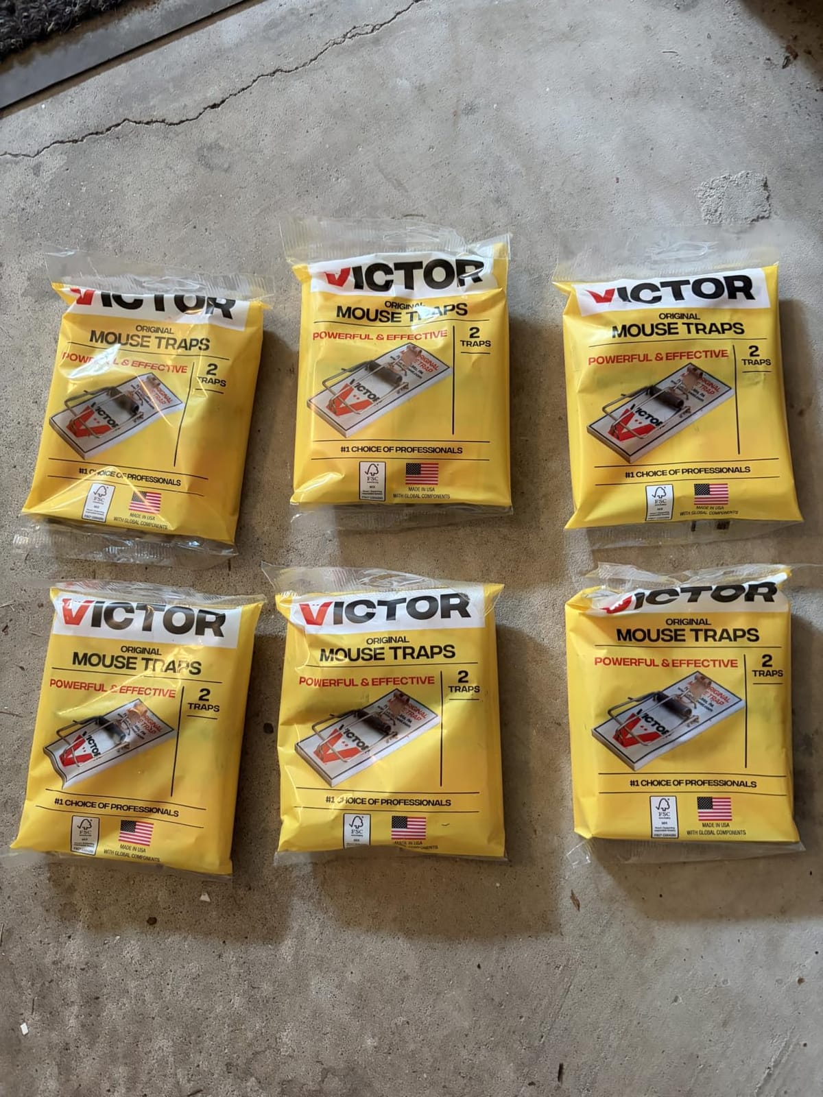 Victor Metal Pedal Mouse Traps, 12-Pack, Reusable Wooden Snap Traps | FSC Certified Wood, Indoor Mice Control Pest Elimination, Rodent Killer Control, Clean & Quick Trapping, Mice Traps for House customer photo 2