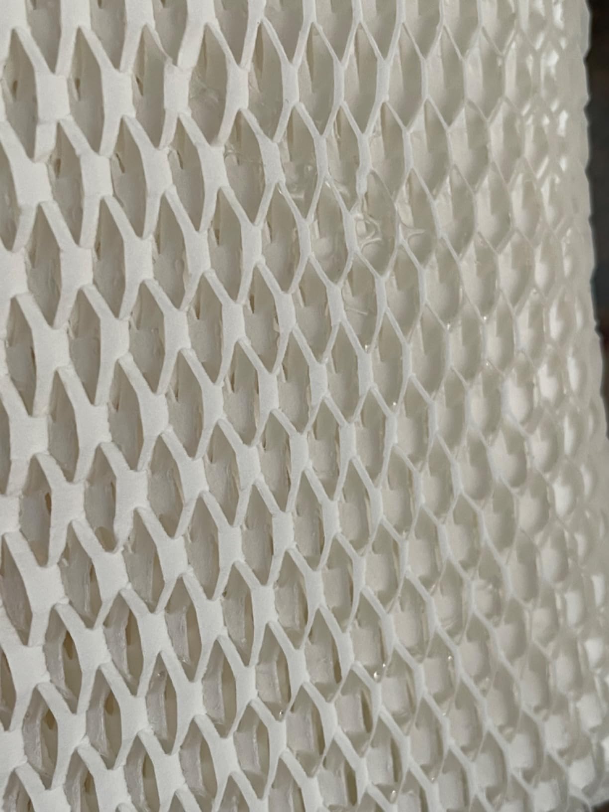 Canopy Original Bedside Humidifier Filter, 3-Pack, 6-Week Replacement customer photo 1