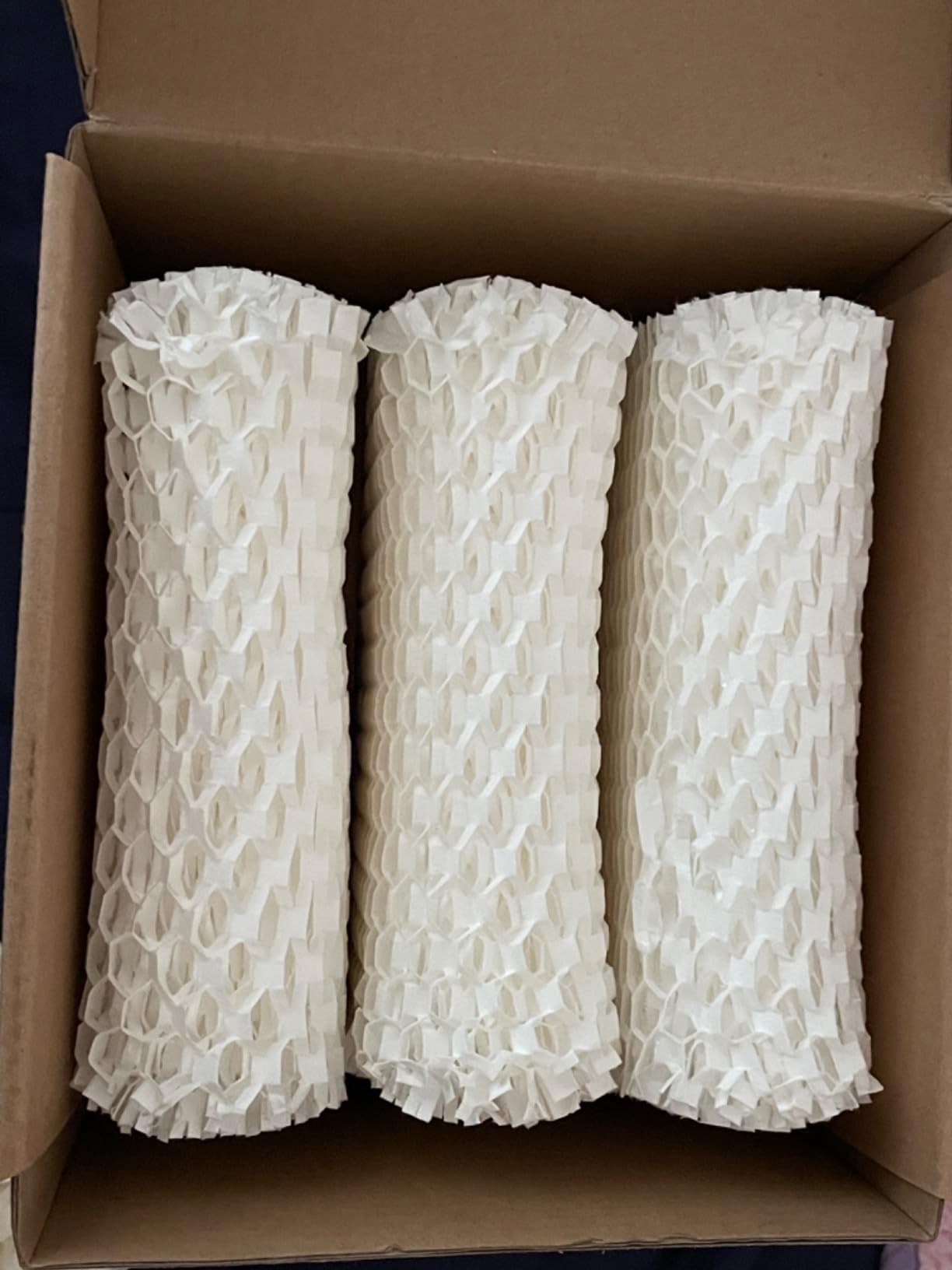 Canopy Original Bedside Humidifier Filter, 3-Pack, 6-Week Replacement customer photo 2