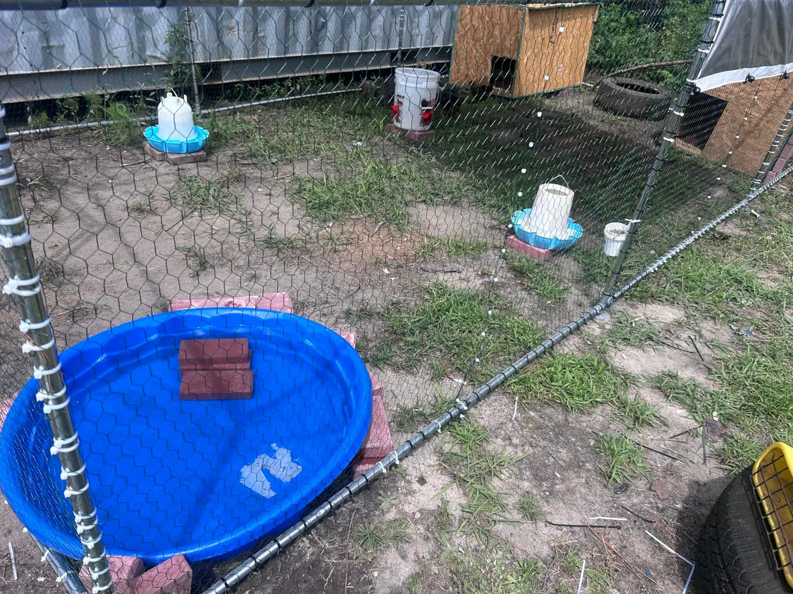 NUGRIART Large Metal Chicken Coop Walk-in Poultry Cage with Water-Resident and Anti-UV Cover Duck Rabbit Cat House Outdoor Chicken Run Pen with Spire Shaped Cage customer photo 2