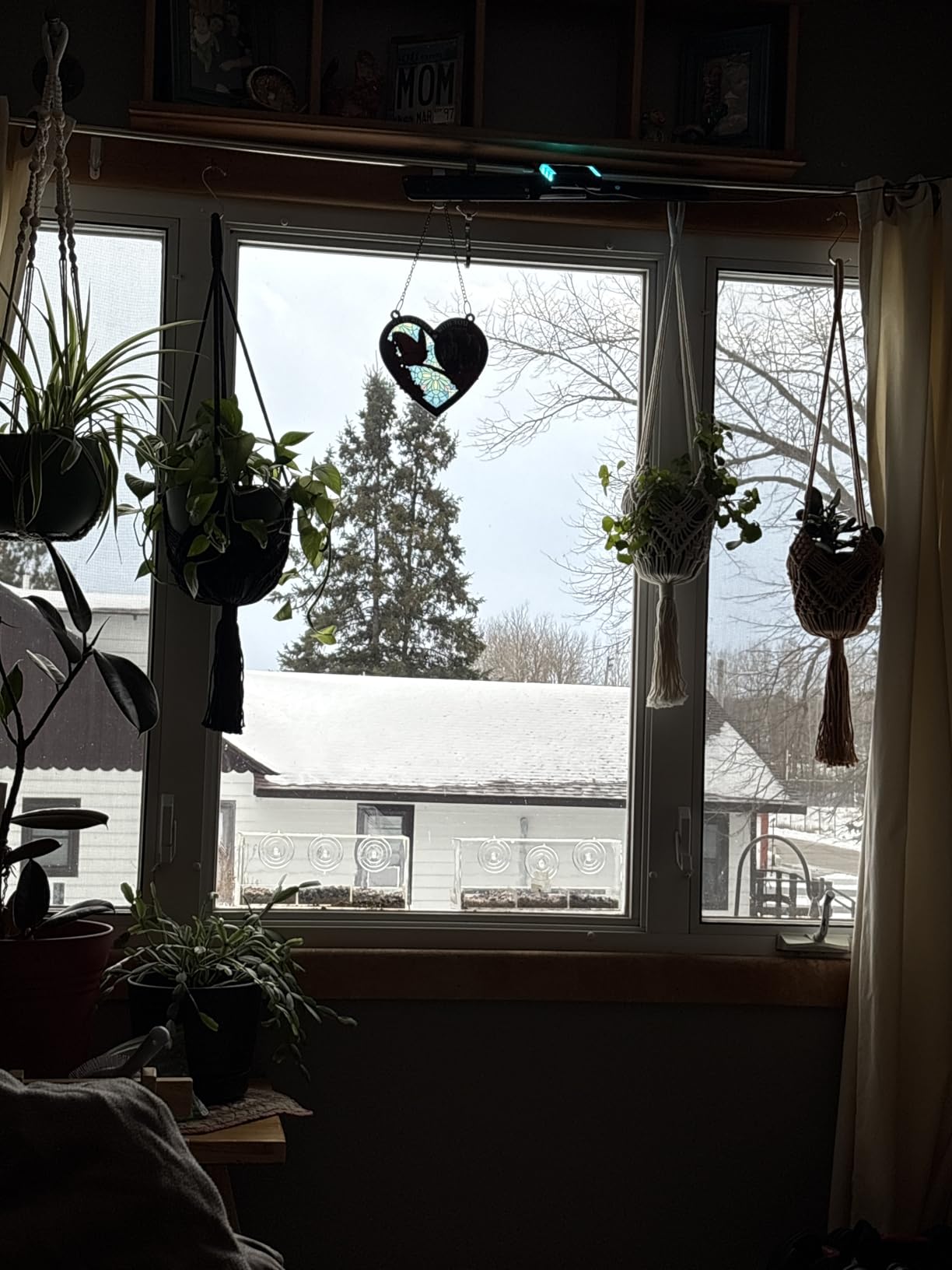 Hanging Planter with Patterns, 2 Packs Macrame Plant Hangers Indoor (Caramel) customer photo 1