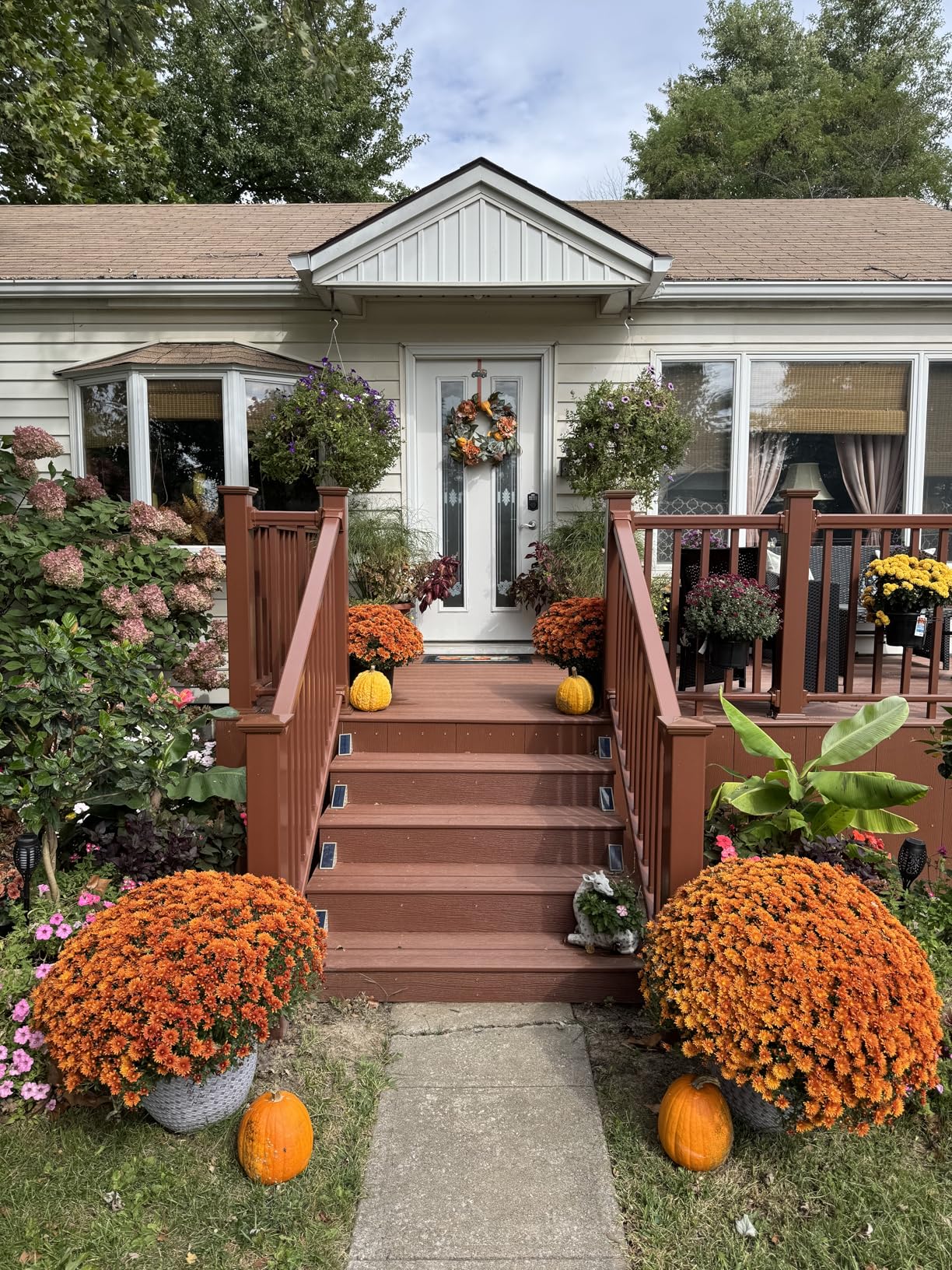 DecorbyHannah 24'' Fall Wreath for Front Door with Lights & Peony Hydrangea | Pre-Lit Collapsible Harvest Autumn Thanksgiving Lighted Pumpkin Wreath with Timer & Maple Leaf for Mantle Home Decorations customer photo 1
