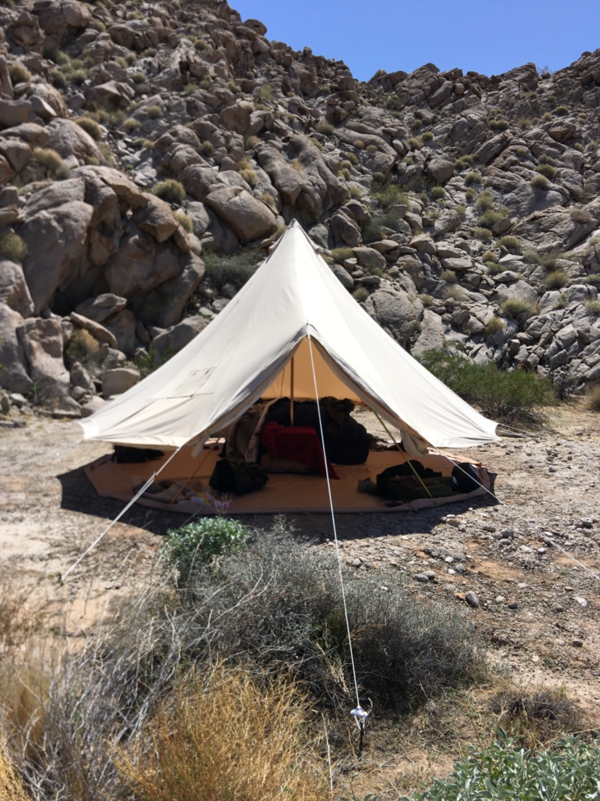 Glamcamp Bell Tent,4 Seasons Breathable Cotton Canvas Yurt Tent - w/Stove Jack,Luxury Camping Tent Outdoor,Zipped Removable Floor customer photo 1