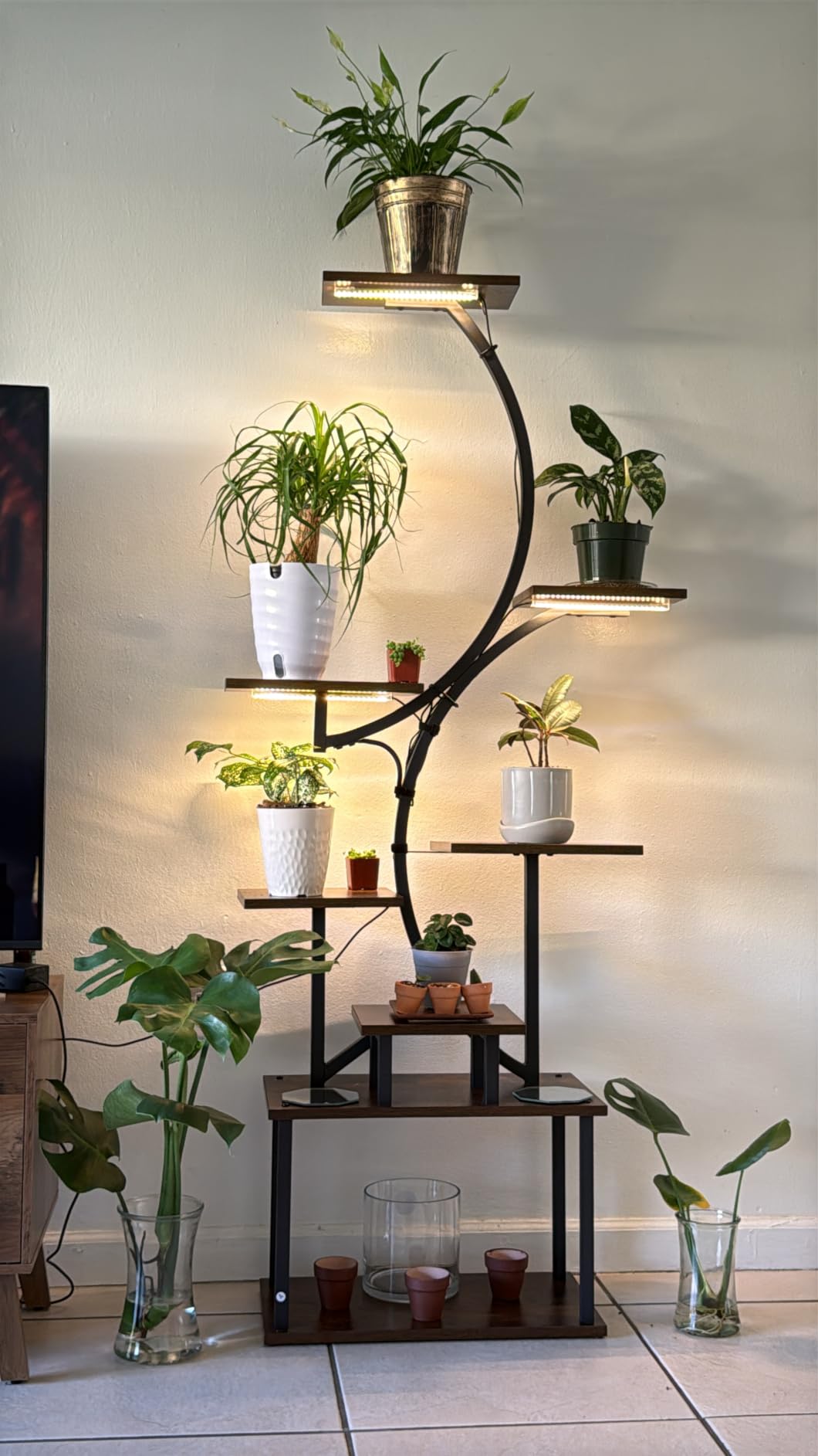 BACEKOLL Plant Stand Indoor with Grow Light, 8 Tier Corner Plant Shelf Tall | 62