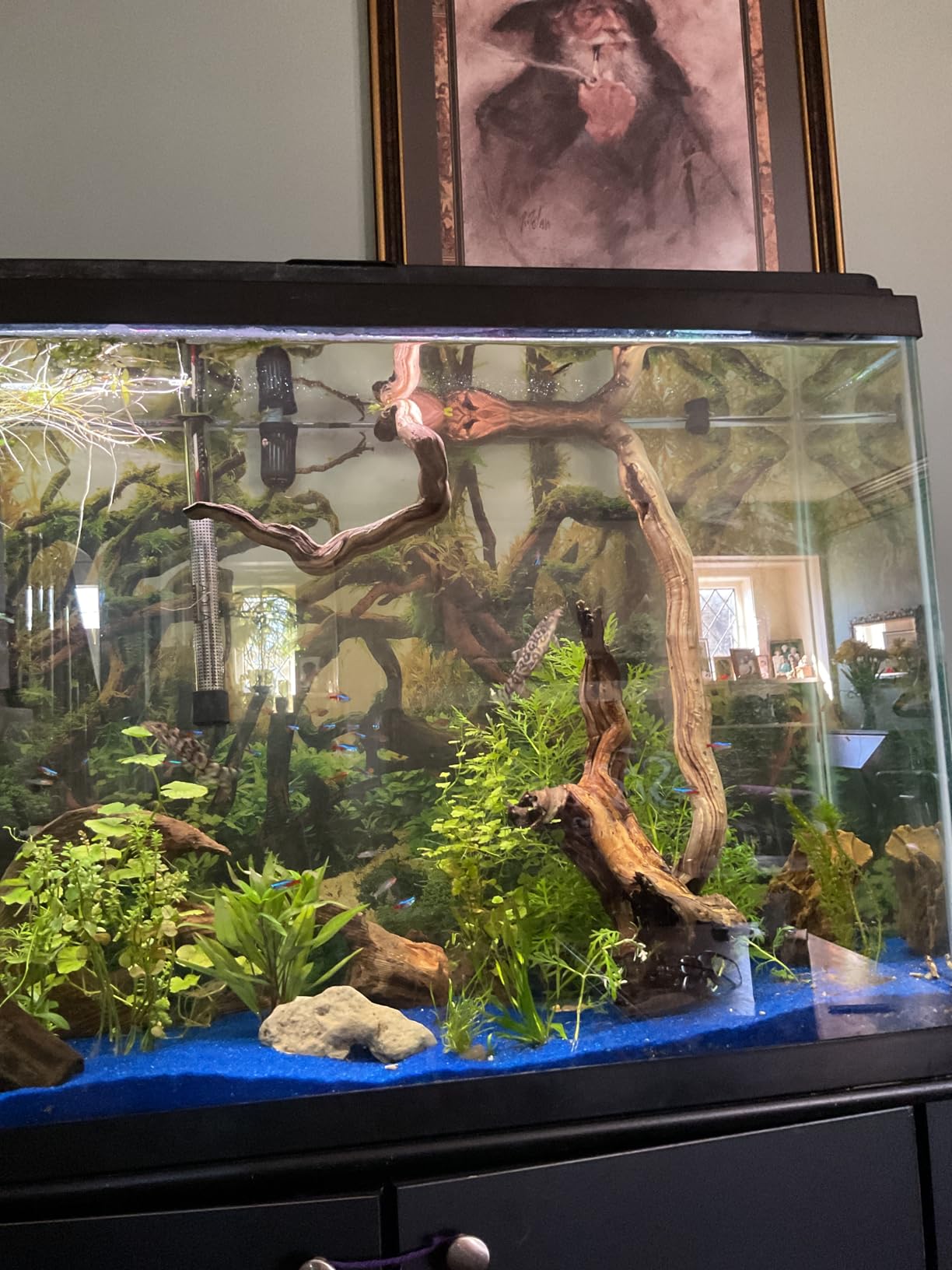 48x24 in Branches Aquarium Backdrop Aquatic Plant Fish Tank Background | AWERT Moss Driftwood River Bed & Lake Aquarium Background Vinyl customer photo 1