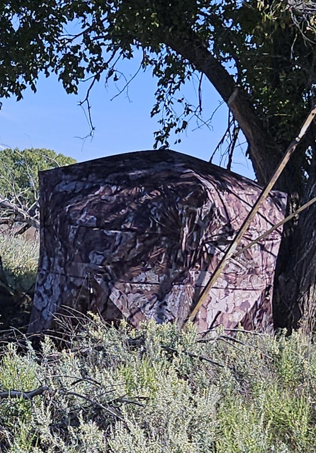 Barronett Blinds Ace 250, Portable Hunting Blind, Large Pop-Up Hub Blind, Panoramic Shooting Windows, Lightweight, Crater Harvest, 75 inch x 75 inch x 67 inch, AC250CH customer photo 1