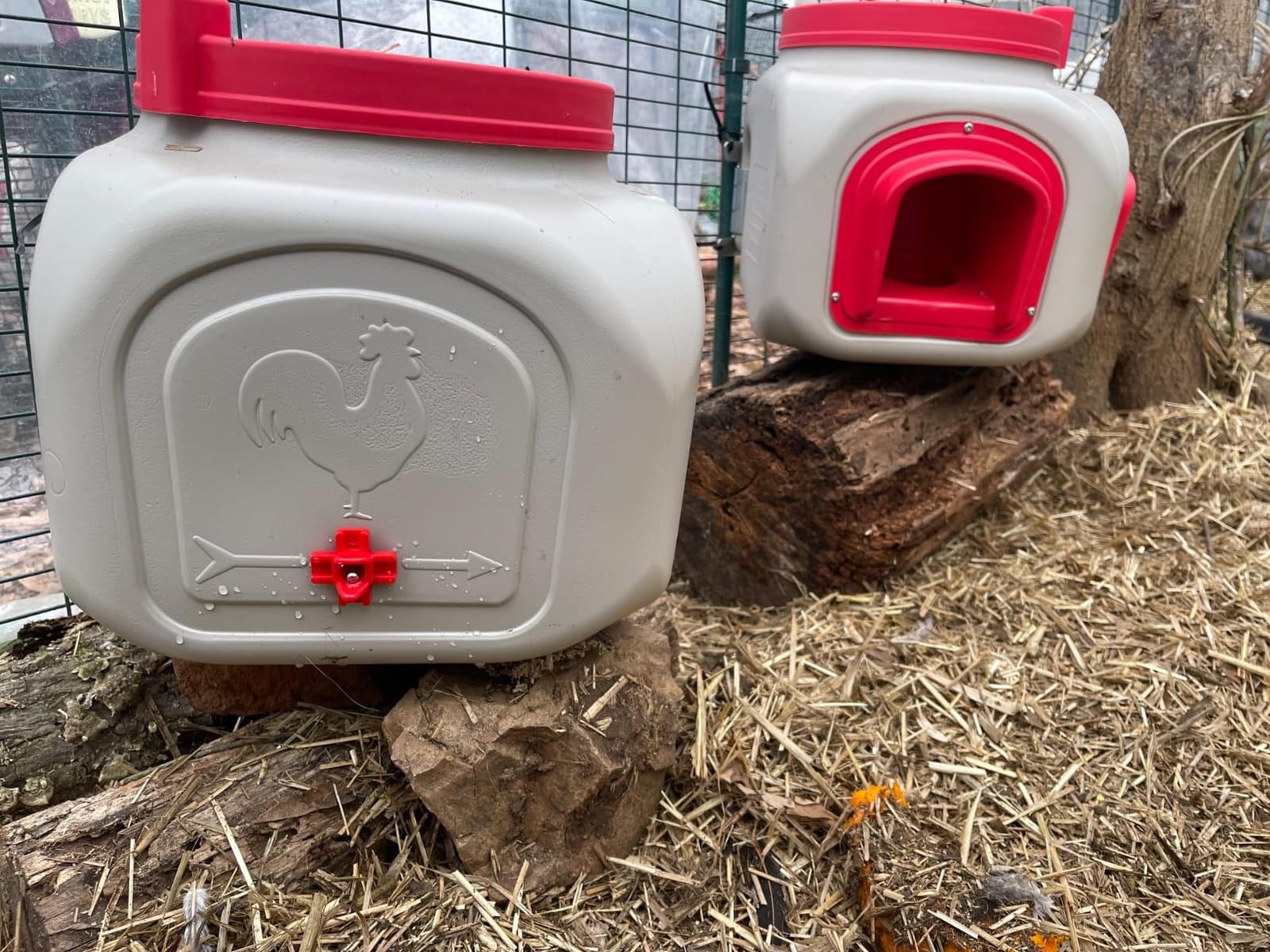 OverEZ Compact Chicken Feeder - Holds 25 Pounds of Feed - Inside or Outside Hen Coop - Large Gravity Fed Automatic Poultry Food Dispenser - No Waste Rainproof Design customer photo 1