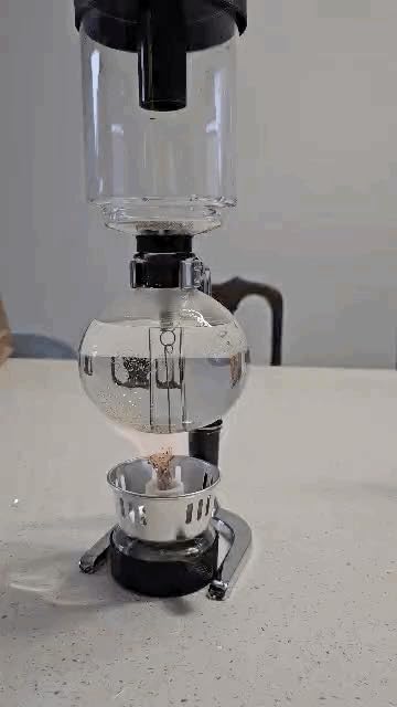 QWORK 5-Cup (600ml) Siphon Coffee Maker - Borosilicate Glass Syphon Brewer with Adjustable Buffer Clamp, High-Temperature Resilience, Tabletop Glass Siphon Pot for Coffee Aficionados customer photo 2