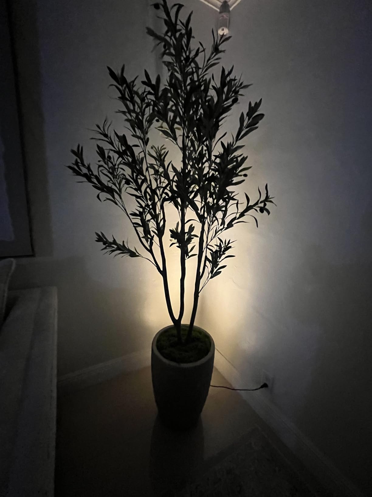 LED Spot Lights Indoor, 5W Plants Uplighting Indoor with Remote Control | Uplights Indoor with 3-CCT, Timer & Dimmable, Floor Accent Light for Plant, Painting, Picture, Artwork with 6.56 FT Plug Cord customer photo 1