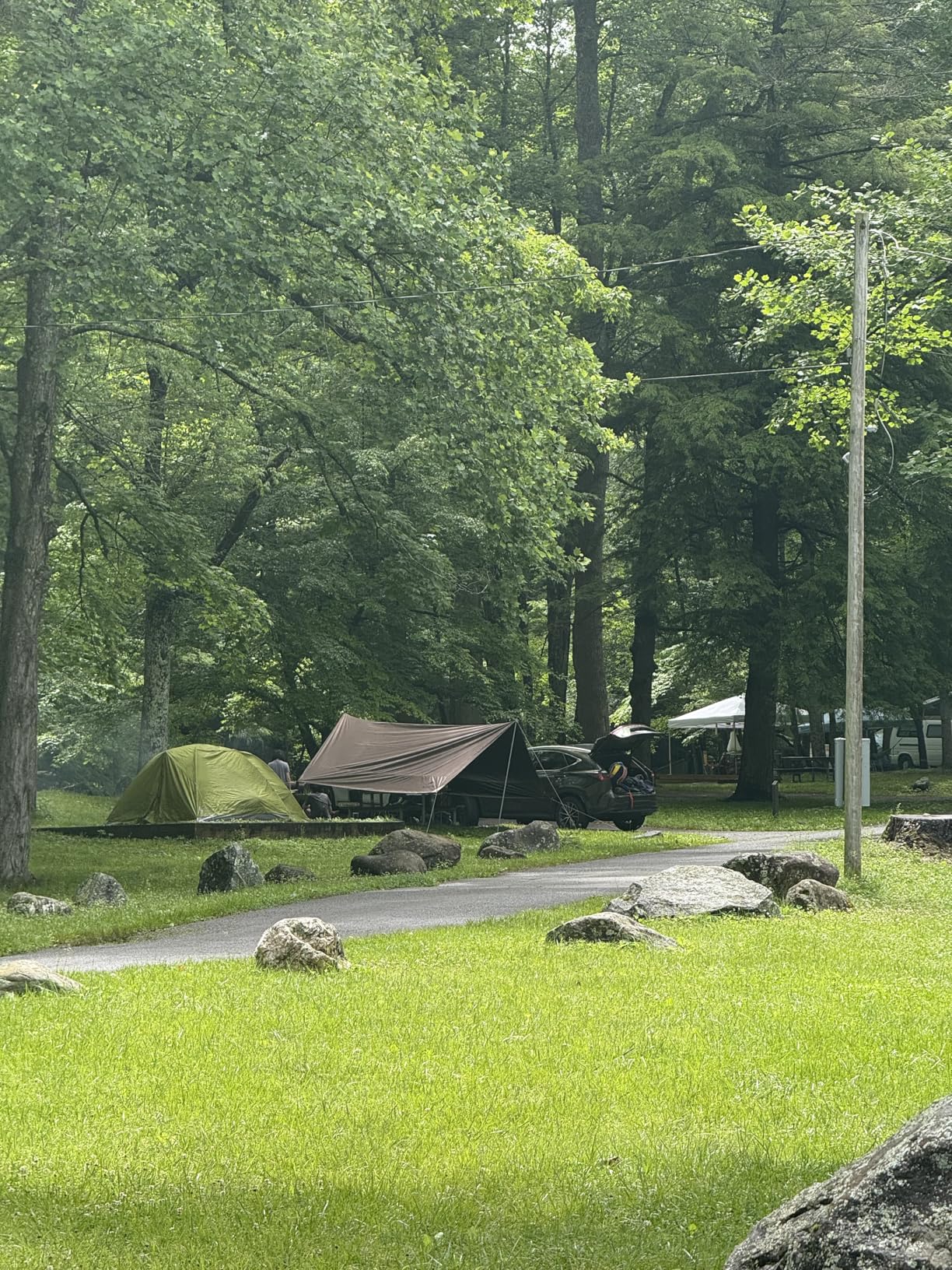 Naturehike Cloud Skies Camping Tent Tarp with Poles, Waterproof PU 18000mm+ Rain Shelter, Anti-UV UPF2000+ Camping Sun Shelter Canopy customer photo 2