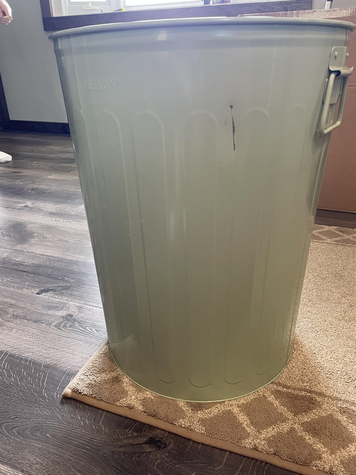 Plexon 20 Gallon Metal Trash Can with Lid Outdoor Large Trash Bin Galvanized Steel Garbage Can for Farm Garage Patio Ash Bucket Bird Seed Storage Can Heavy Duty Round Container customer photo 1