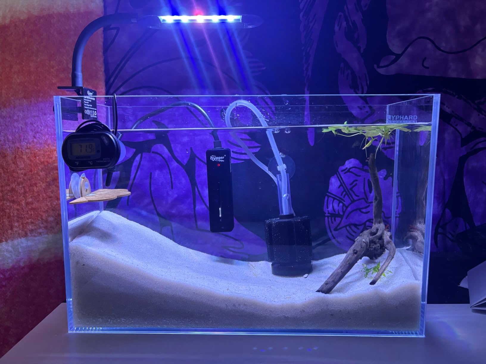 LYPHARD AQUARIUMS 2.5 Gallon Rimless Aquarium Tank, Ultra Clear Low Iron Nano Fish Tank for Betta Shrimp, L11.8×W5.5×H9.8 Glass Thickness 5mm with EVA Foam Leveling Mat customer photo 2